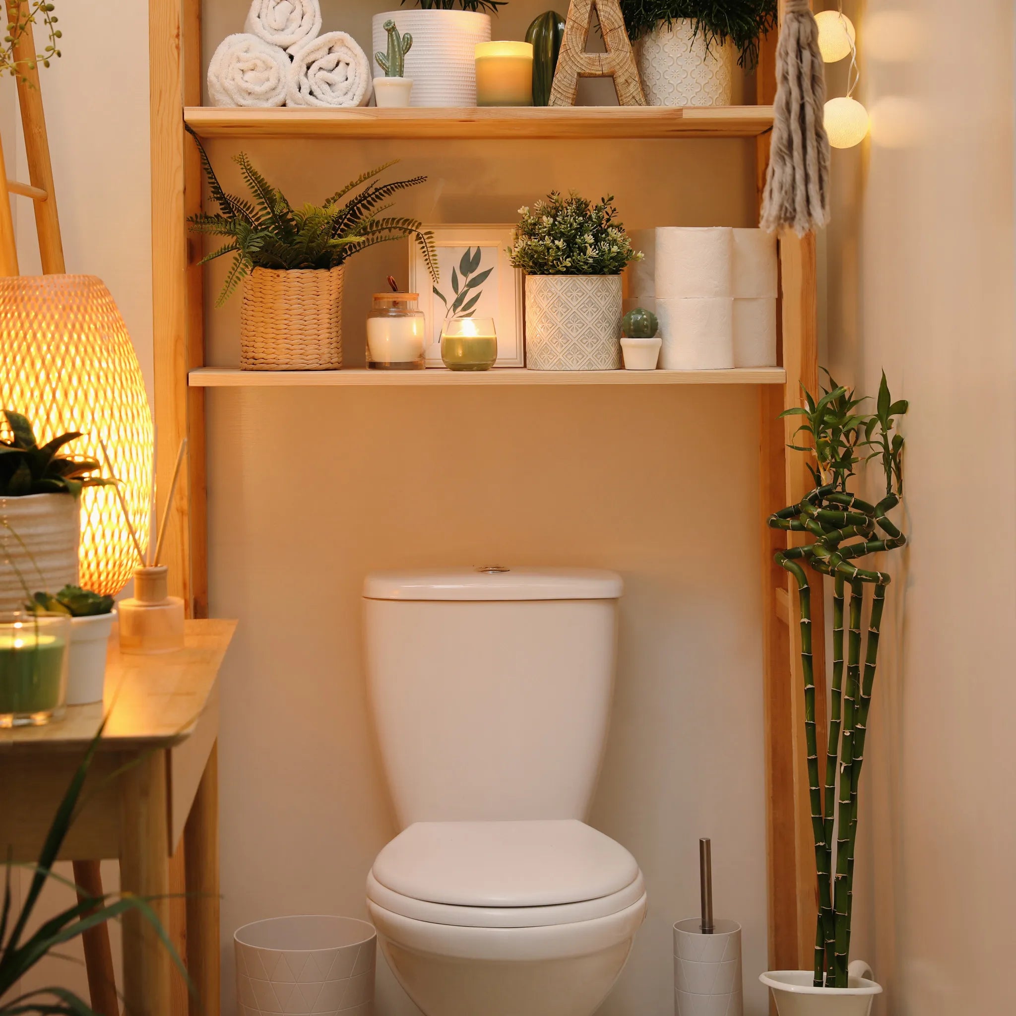 Bamboo Toilet Paper Shelf