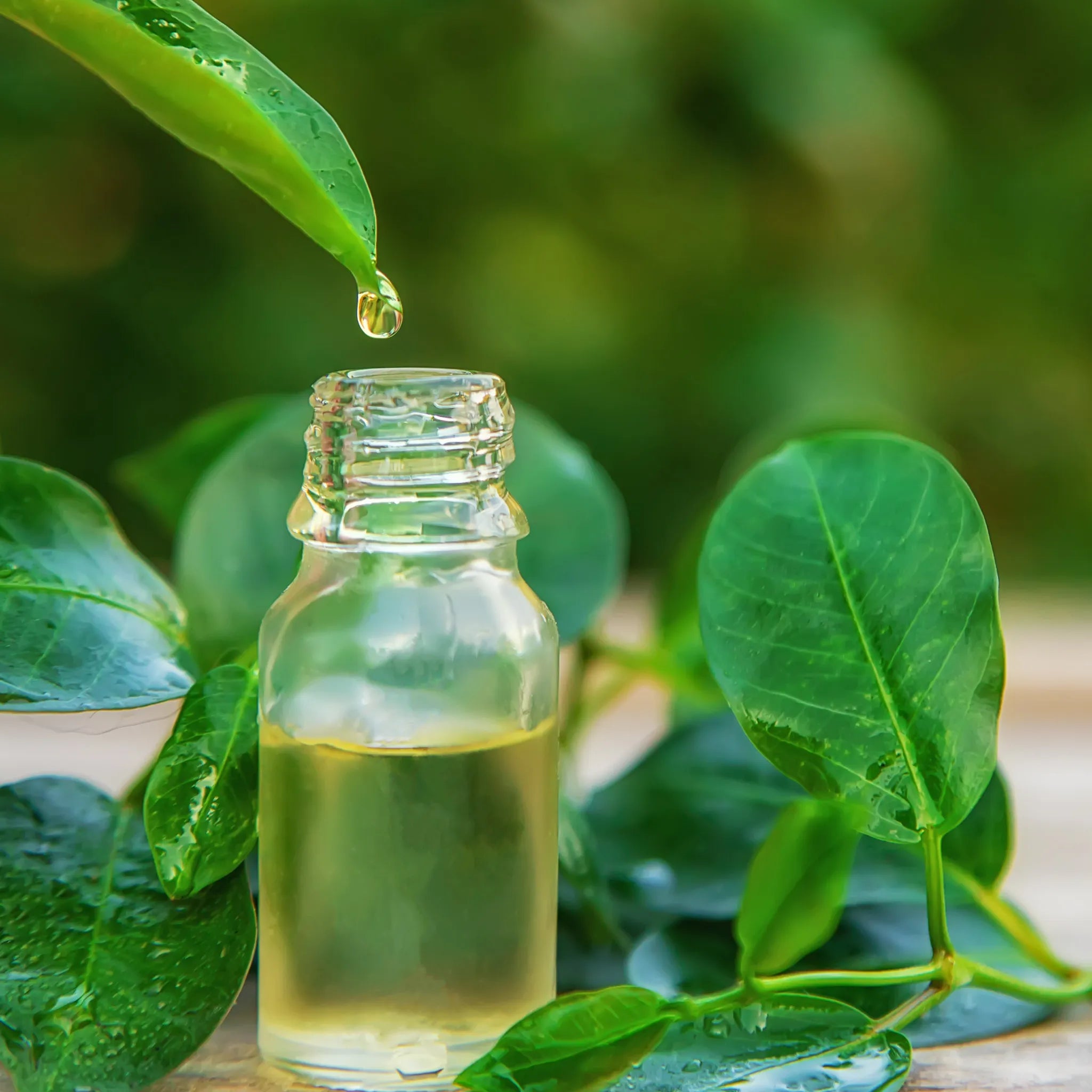 Tea Tree Oil For Hair