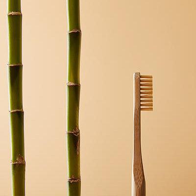 Are Bamboo Toothbrushes Environmentally Friendly