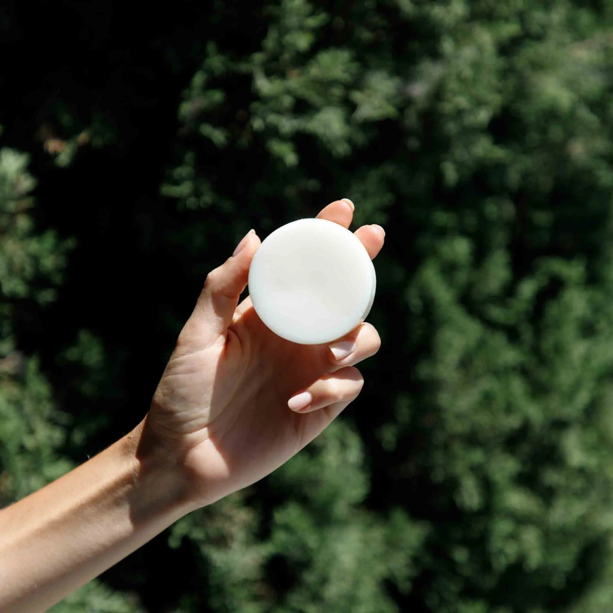 Best Conditioner Bar