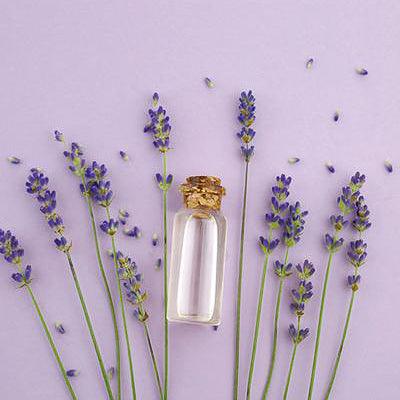Lavender Essential Oil Benefits