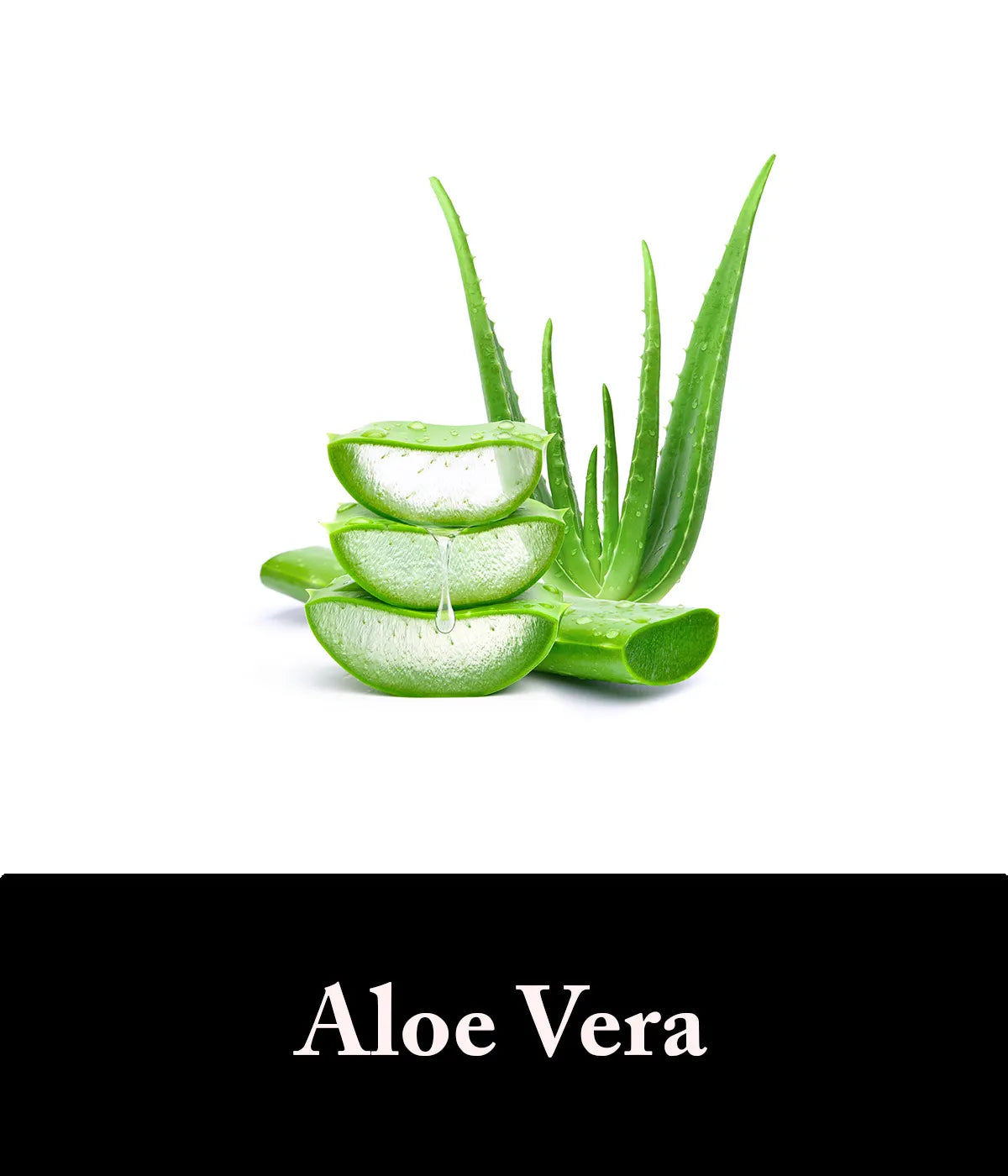 charcoal and aloe vera soap