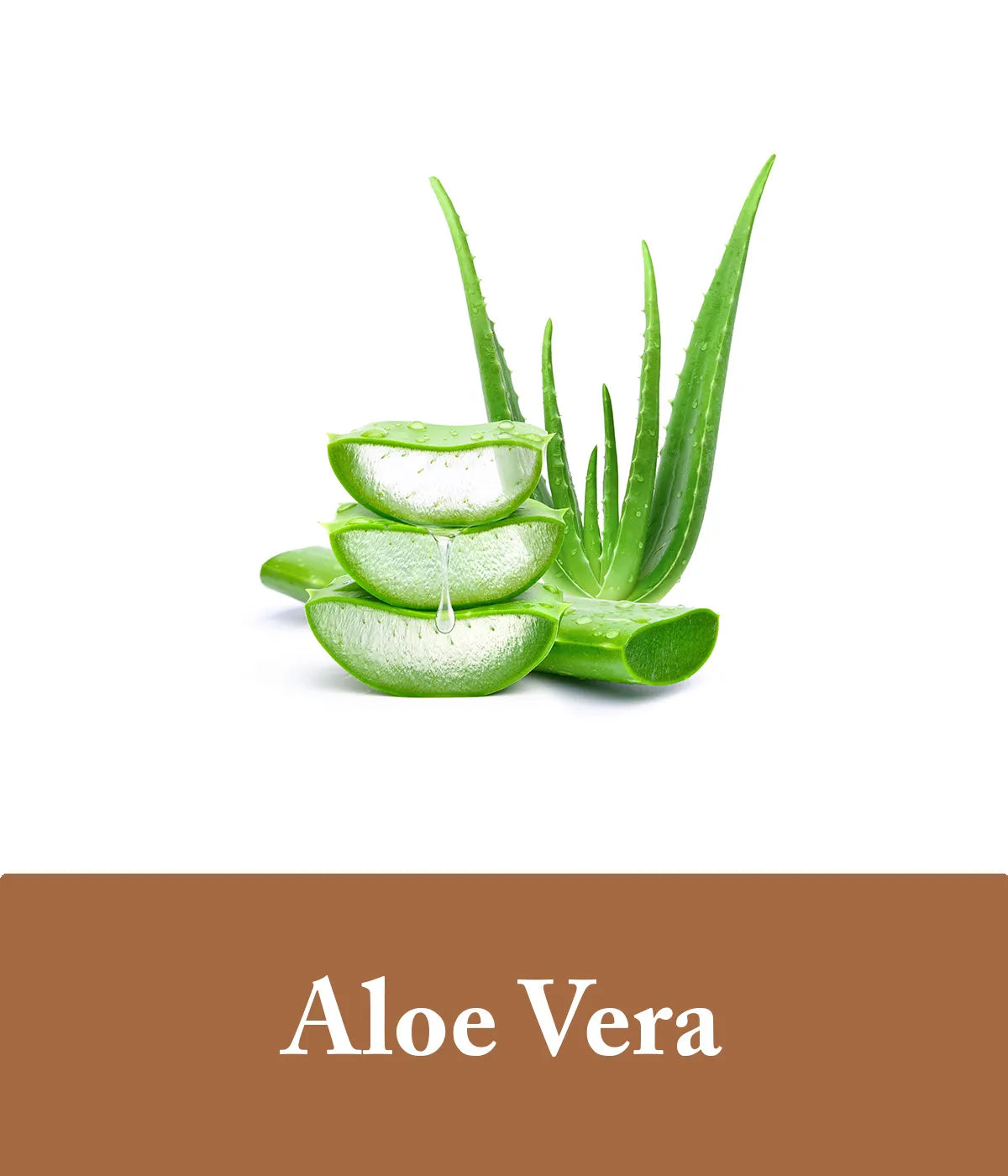 coffee and aloe vera shampoo