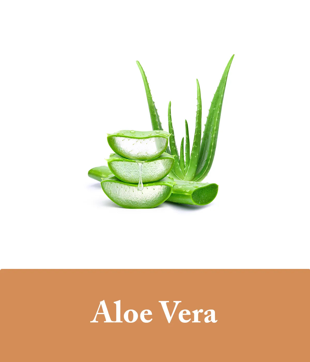 moisturizing coconut milk shampoo with aloe vera