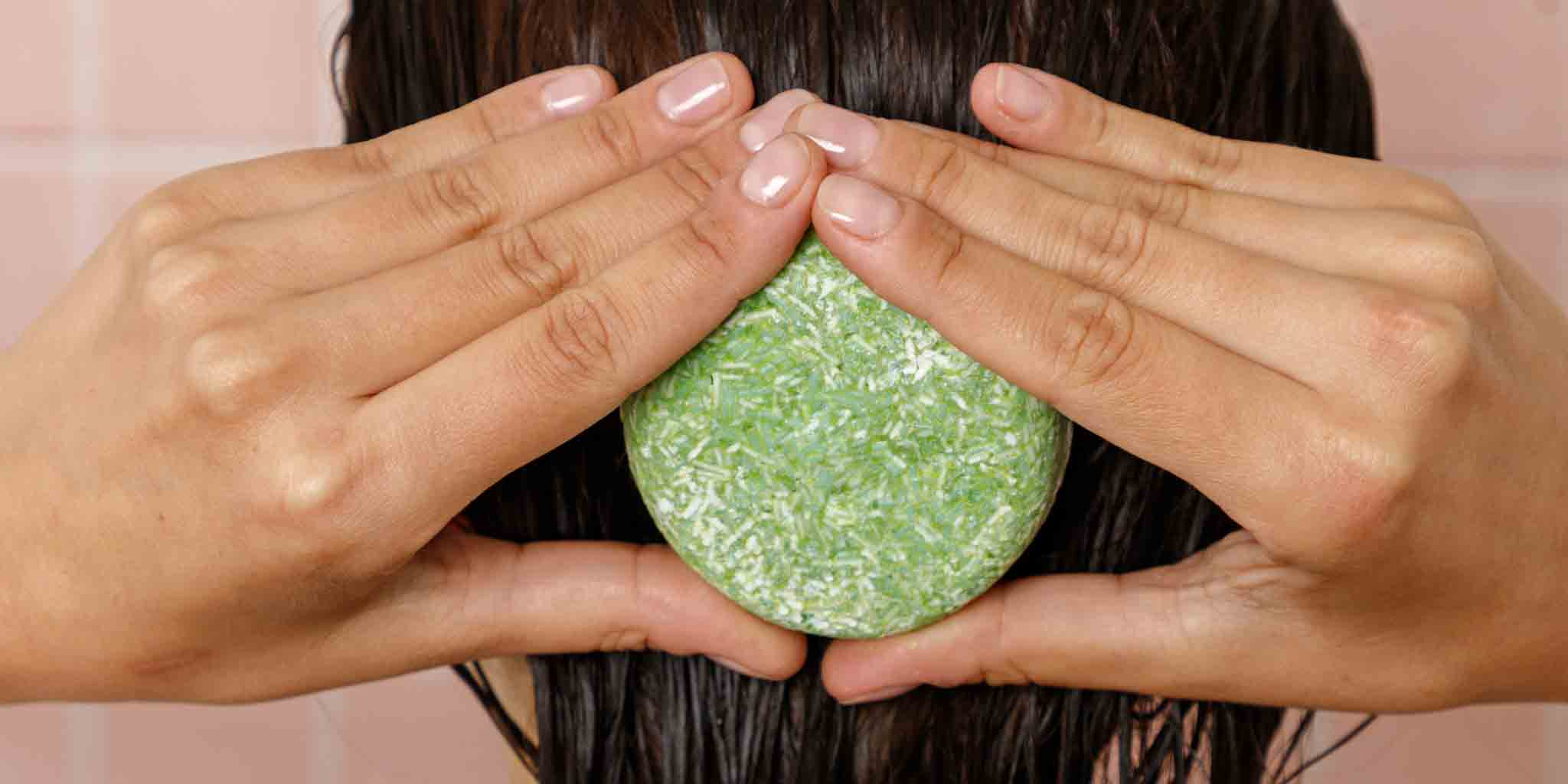 shampoo for dandruff