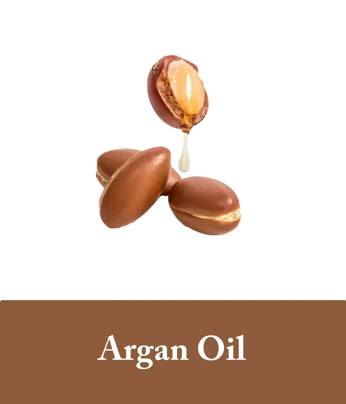 argan oil ingredient