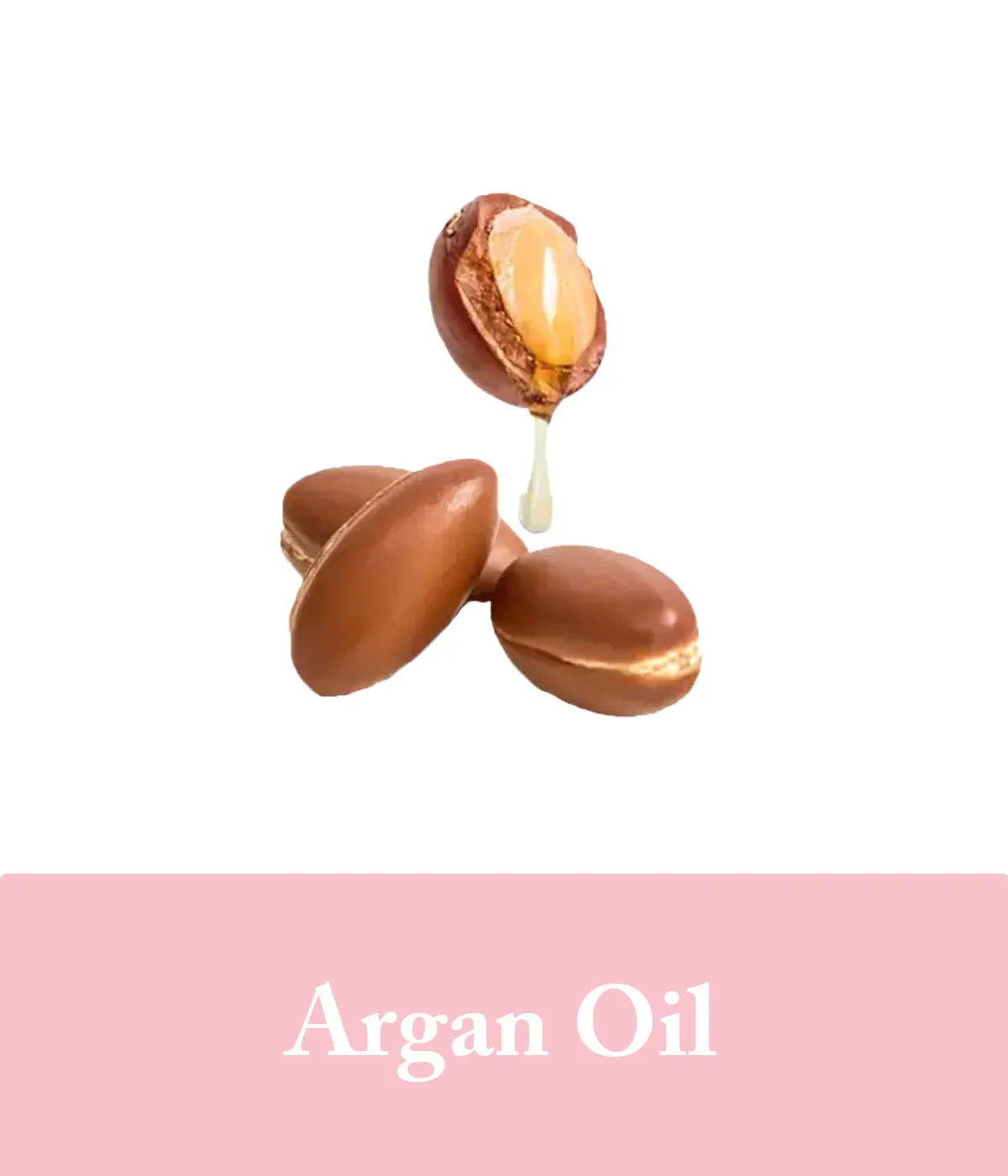 Argan Oil Ingredient For Rose Shampoo