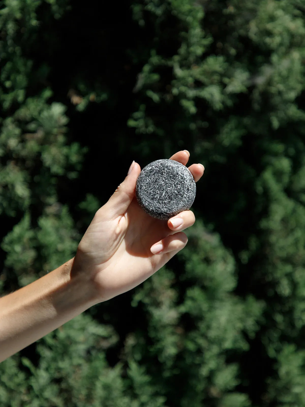 Charcoal Shampoo Bars