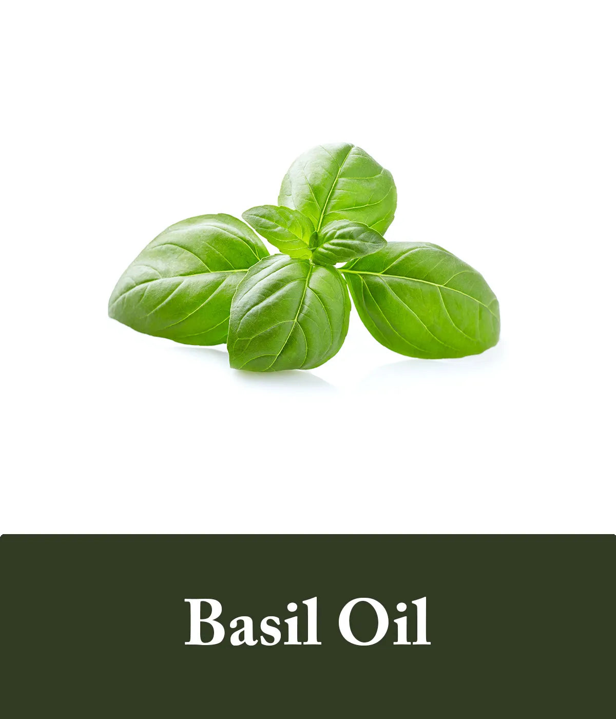 dish soap made with basil