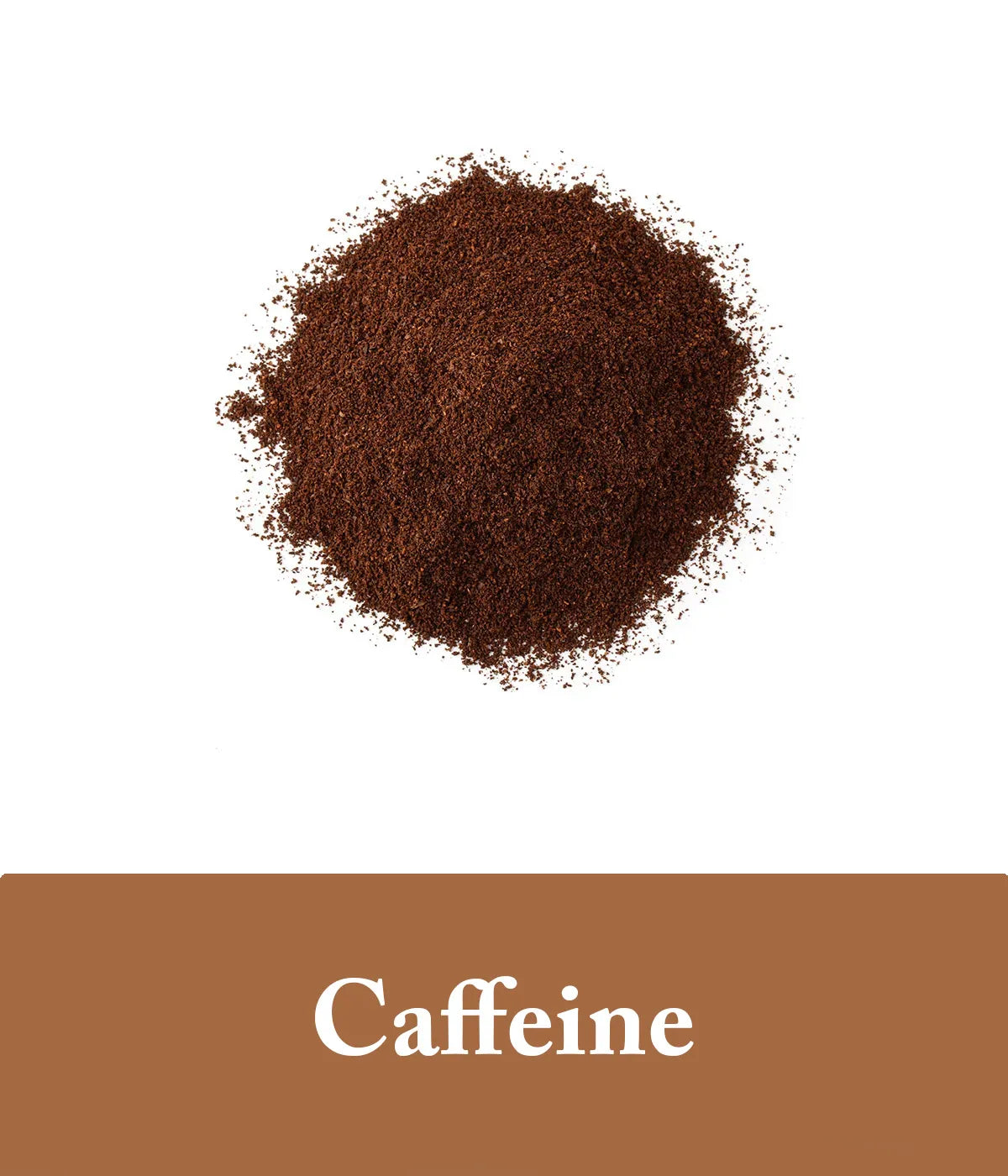 shampoo coffee scented
