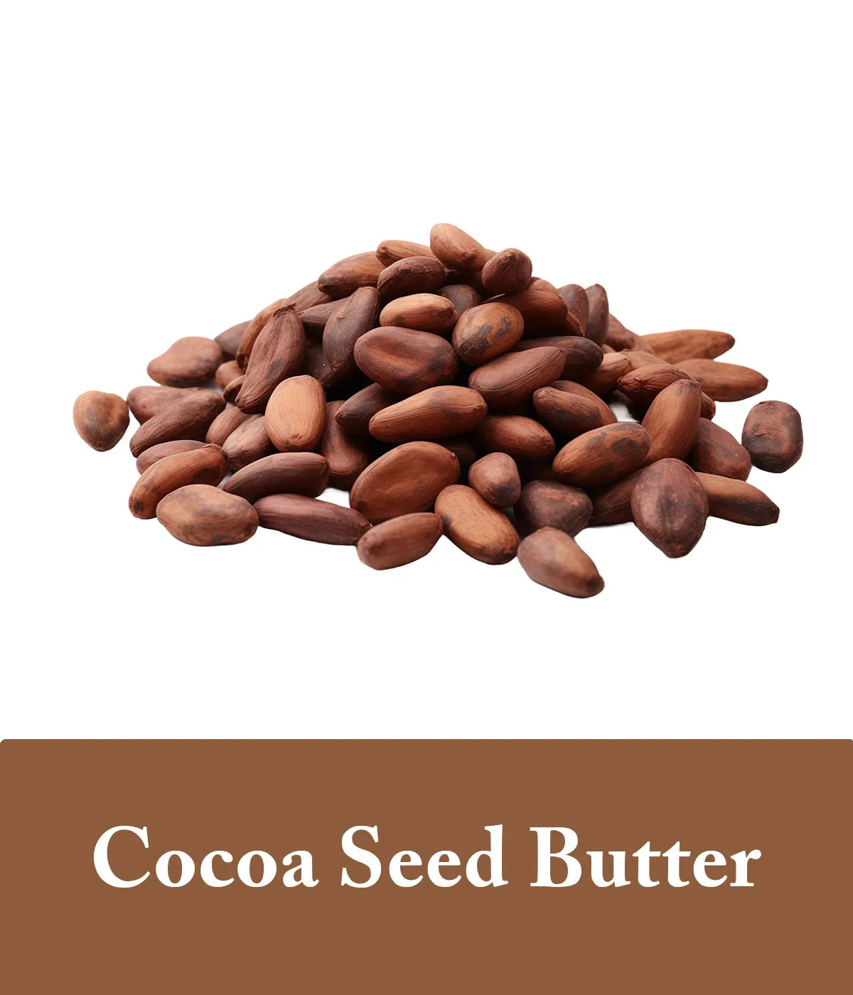 Cocoa Seed Butter Argan Oil