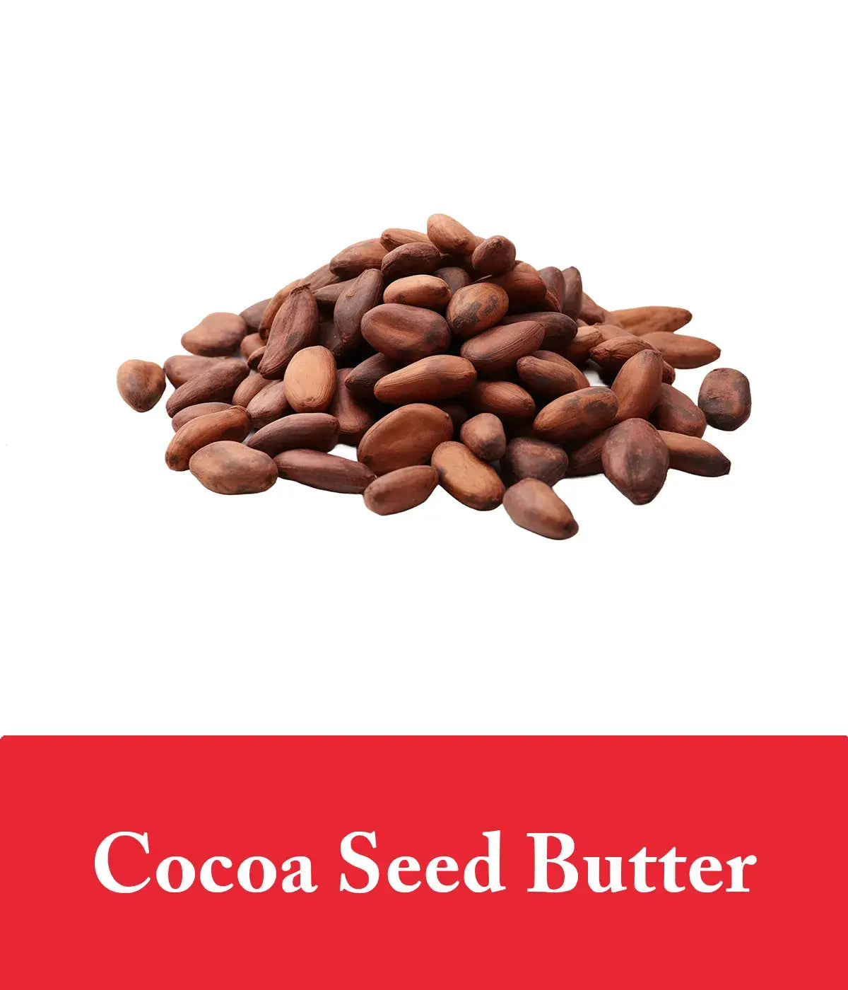 cocoa seed butter shown as an ingredient in strawberry shampoo