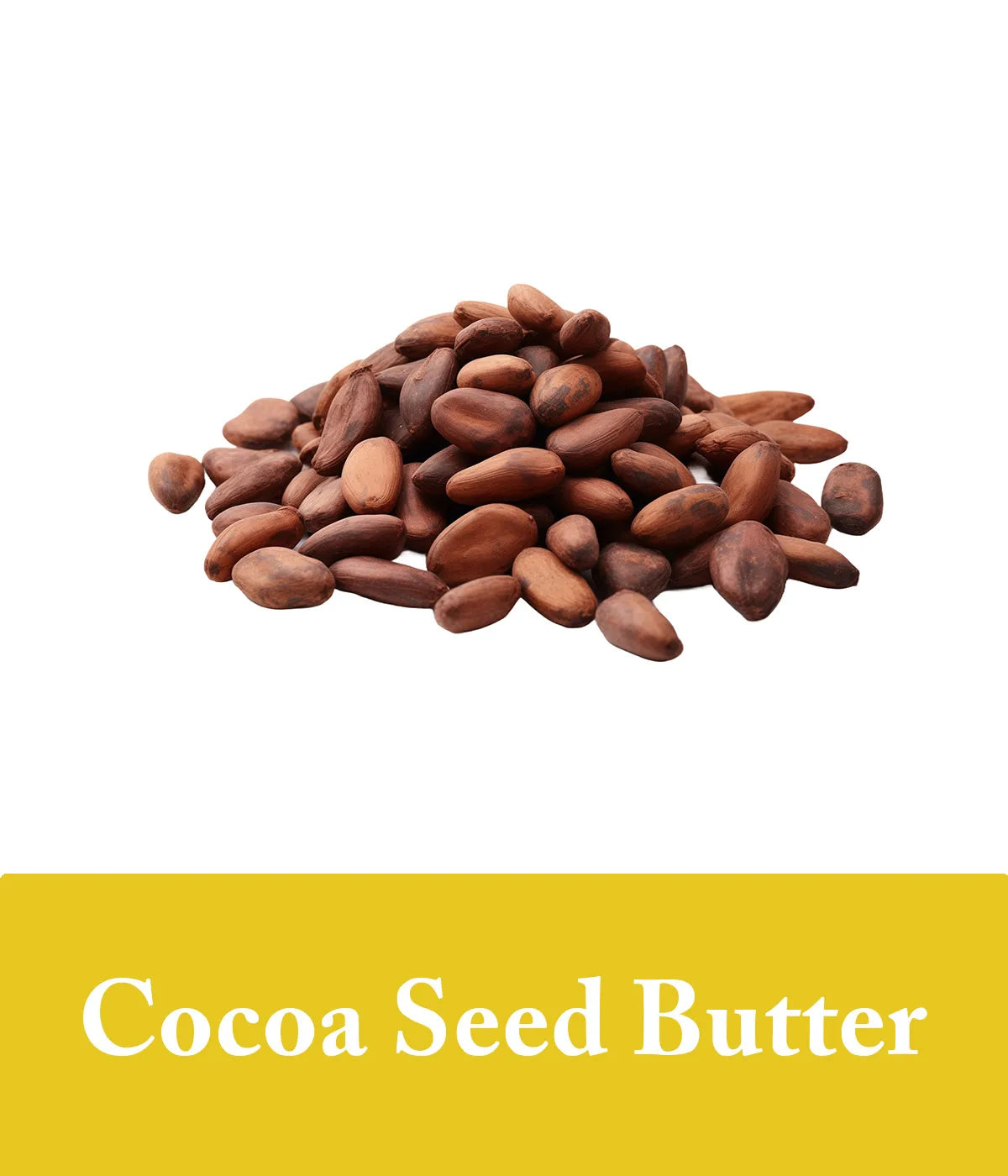 Turmeric soap ingredient - Cocoa Seed Butter