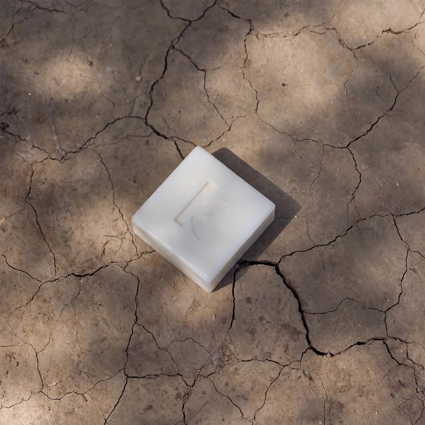A coconut soap bar with a minimalist embossed 'seek bamboo' design, placed on a dry, cracked earth surface under natural sunlight.