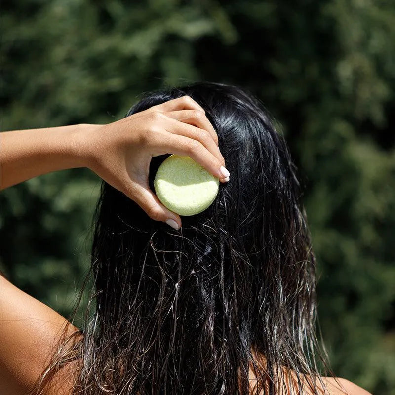 Coconut free shampoo seek bamboo