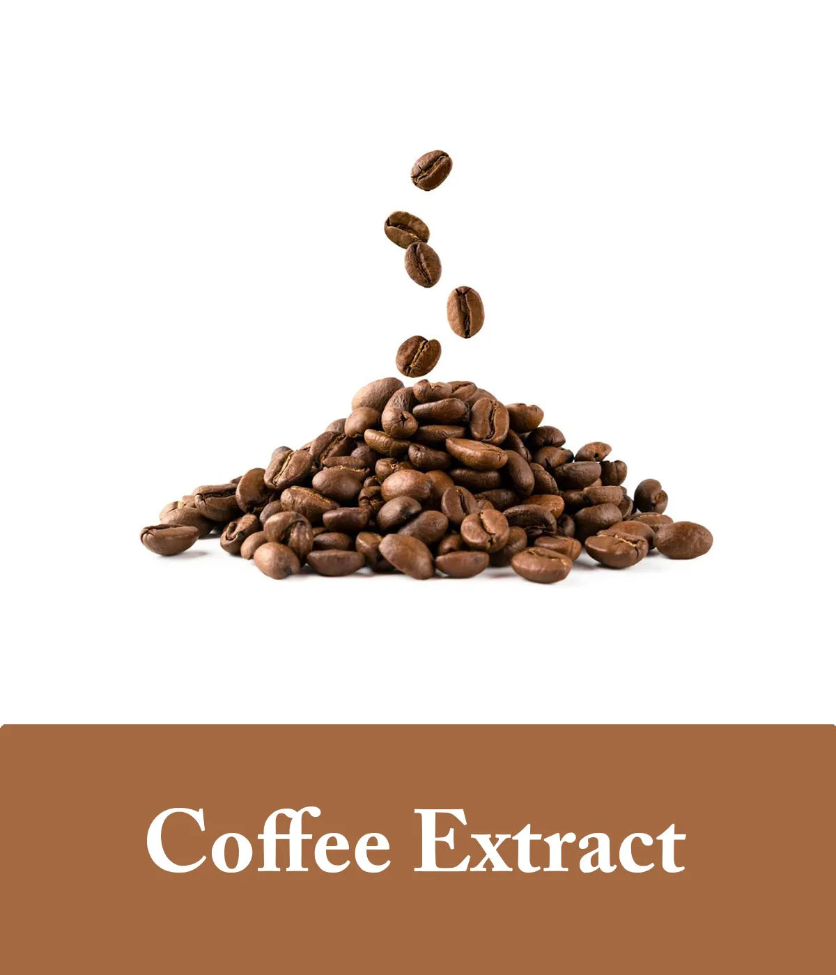 coffee bean shampoo