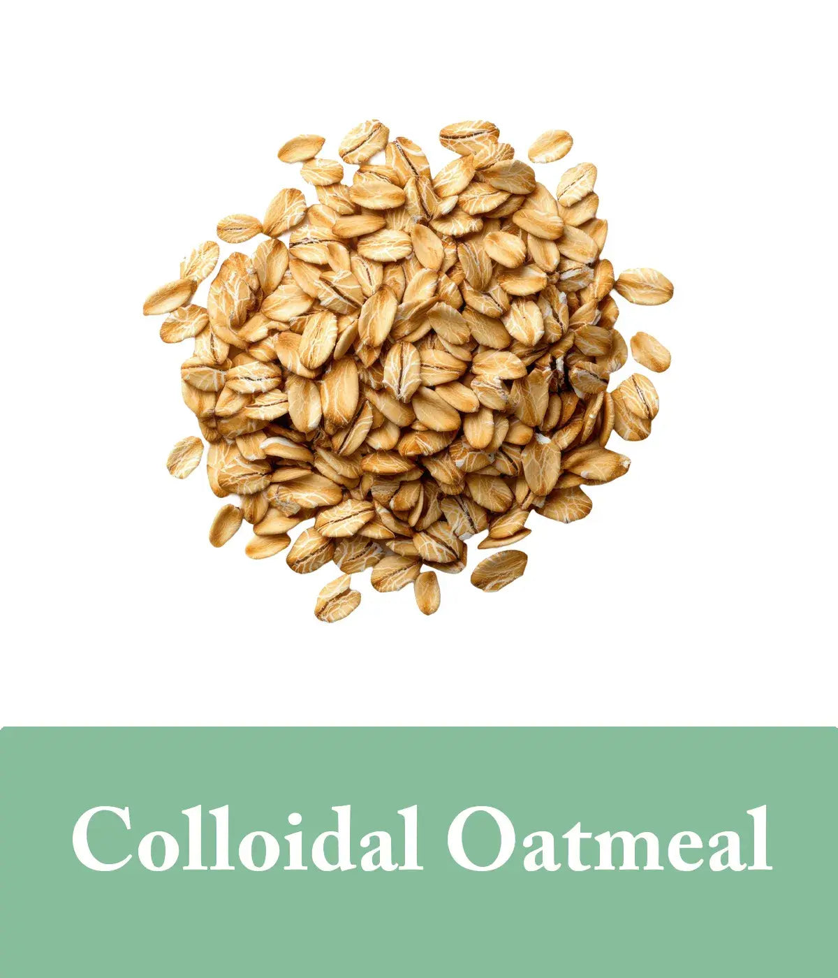 eucalyptus and oat protein shampoo