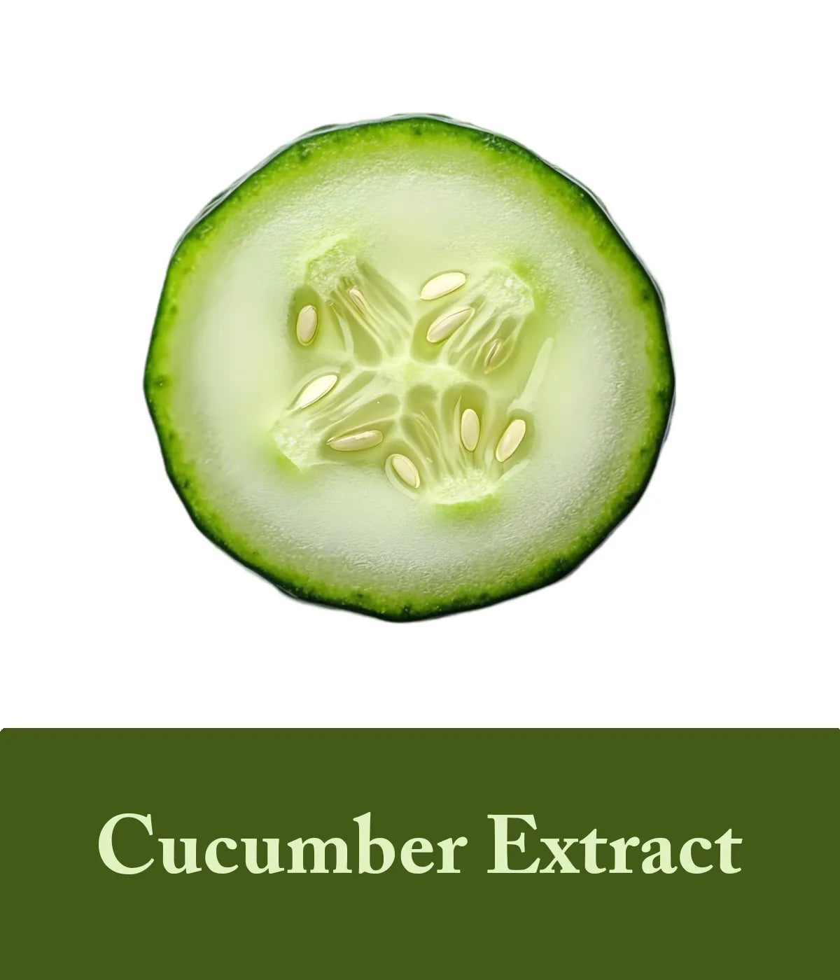 Cucumber Extract in shampoo olive oil