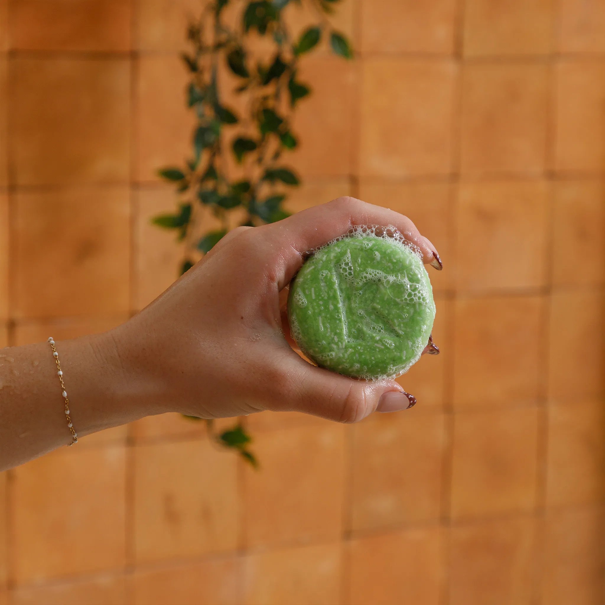 Green Tea Shampoo Bar Sudsy