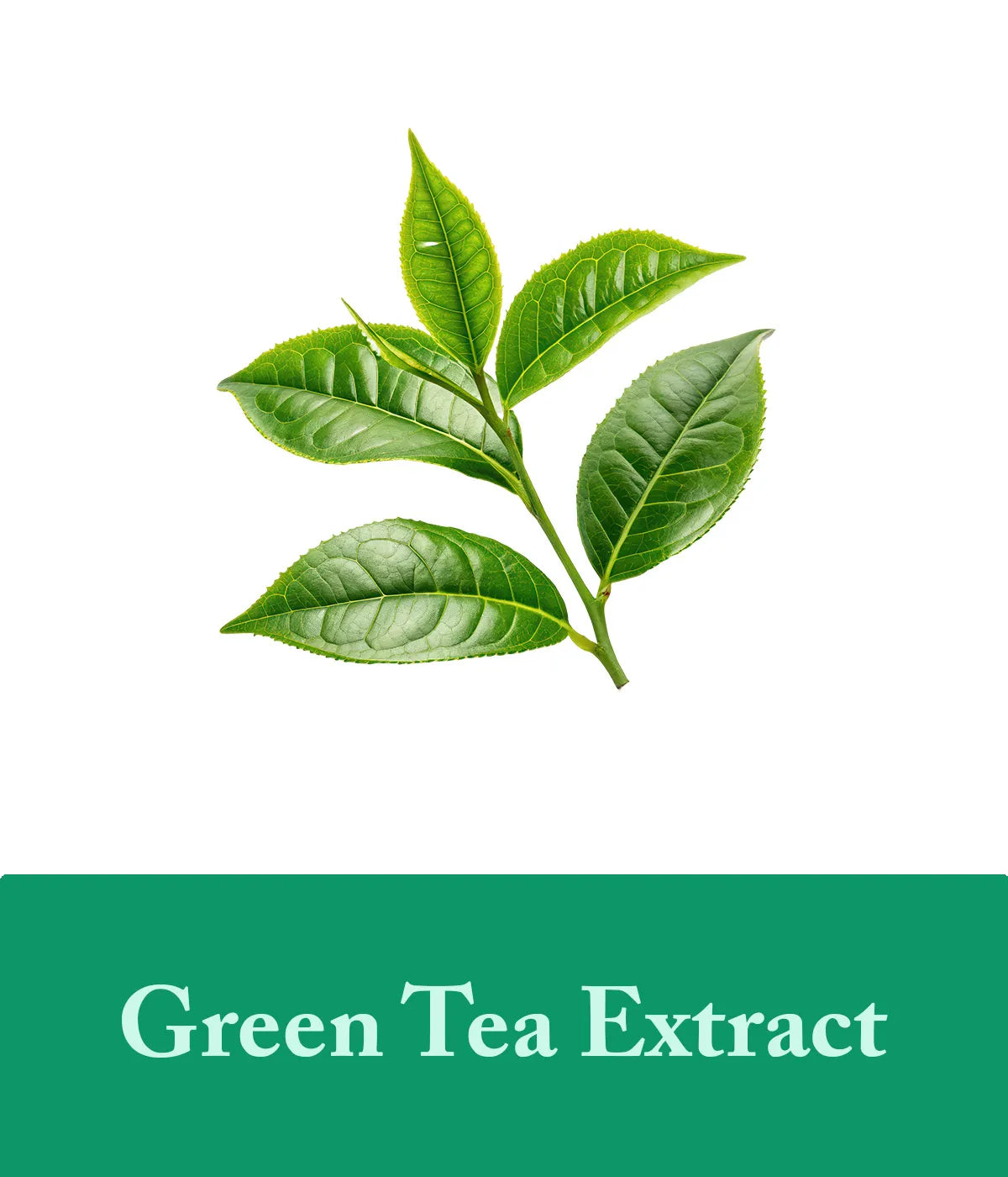 tea tree soap with green tea extract