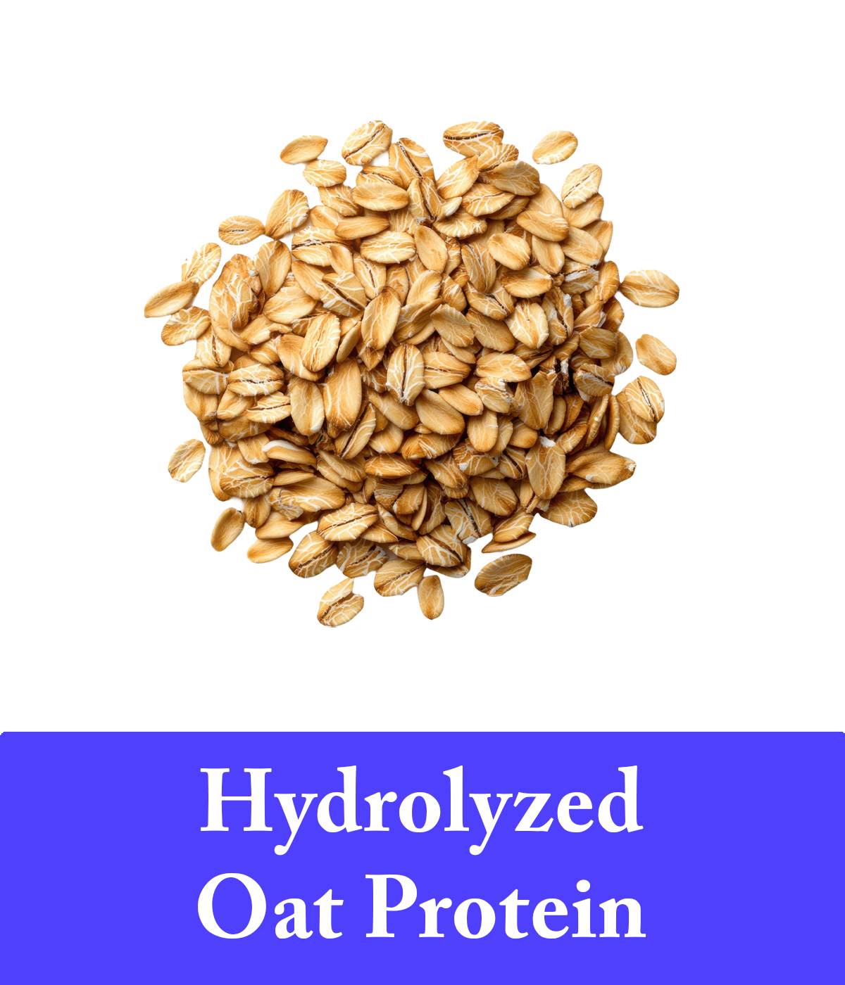 Hydrolyzed Oat Protein For Lavender Shampoo