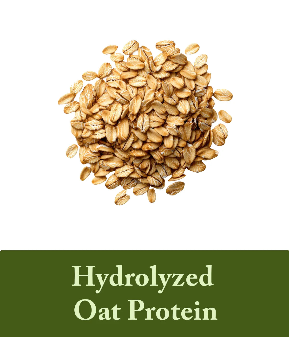 Hydrolyzed Oat Protien