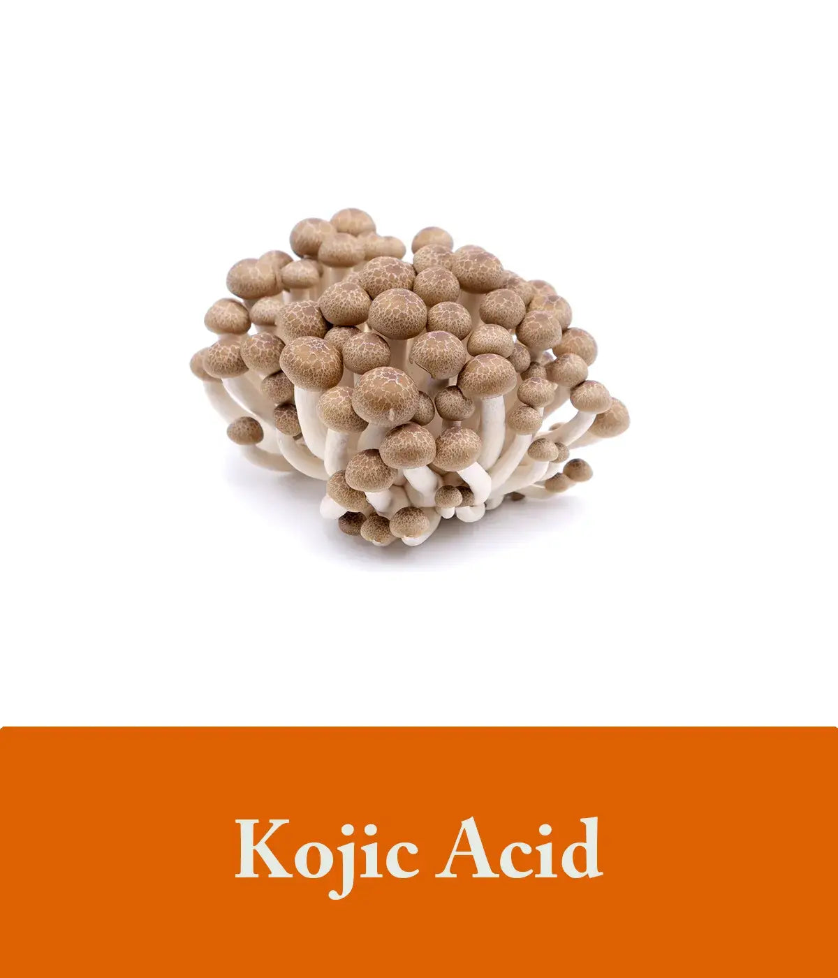 Kojic Acid Soap Ingredient