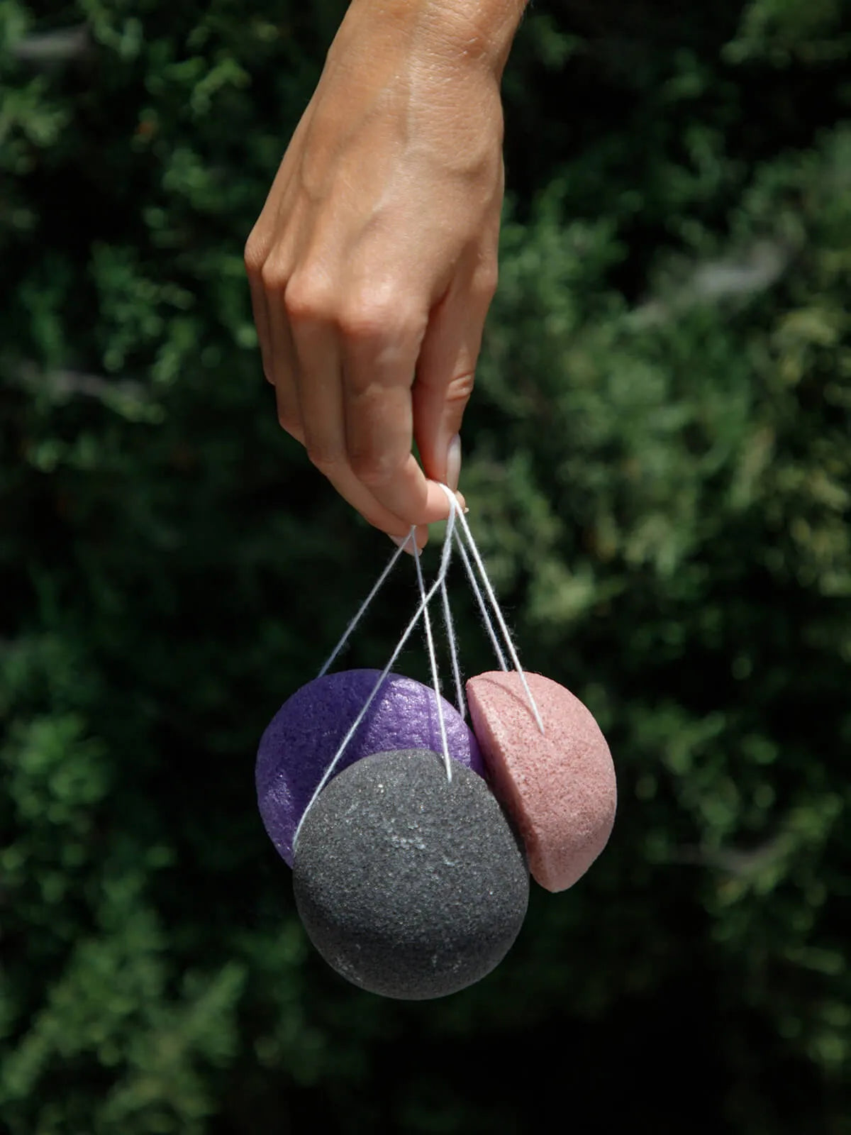 Konjac Sponge Subscriptions