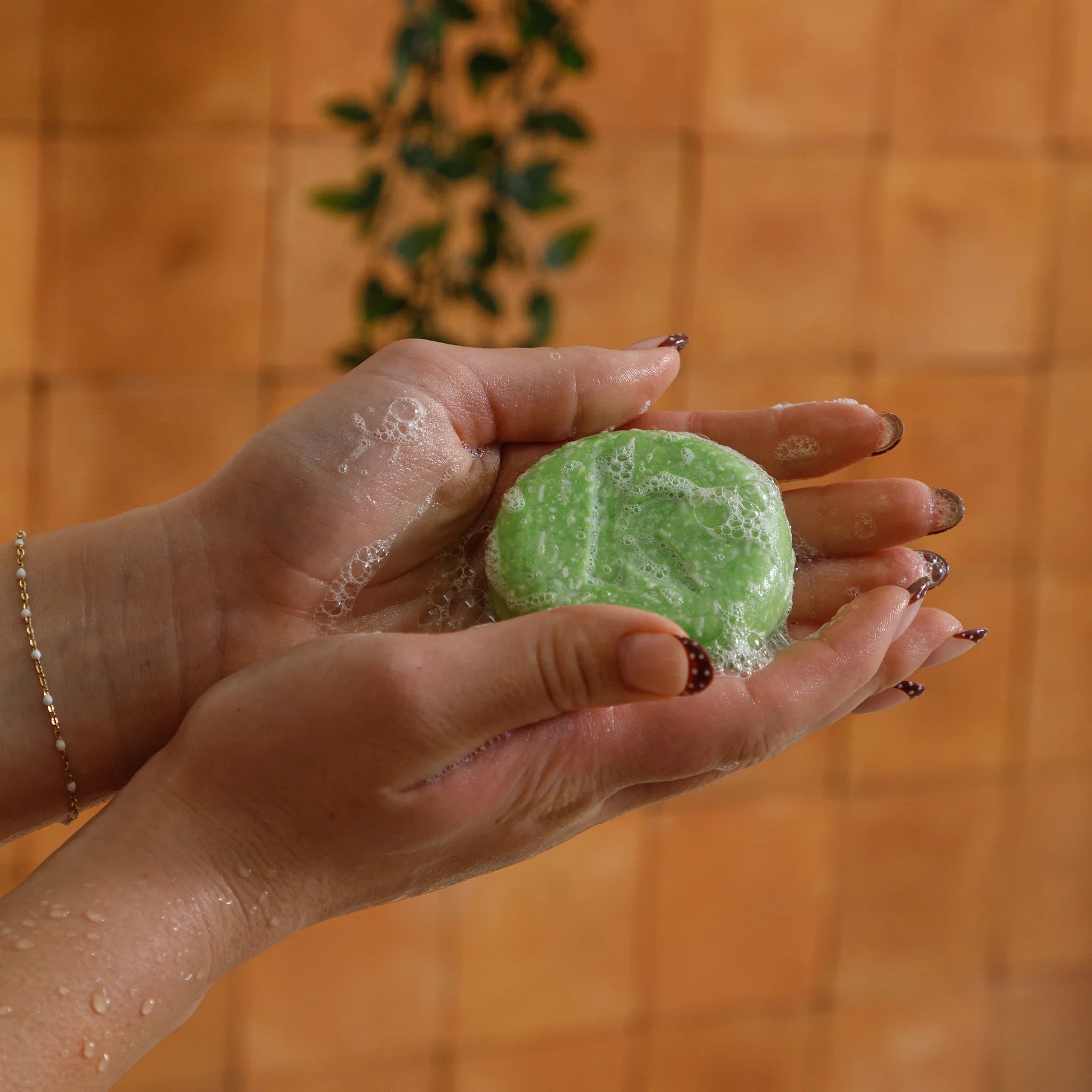 Sudsy Green Tea Shampoo Bar being held