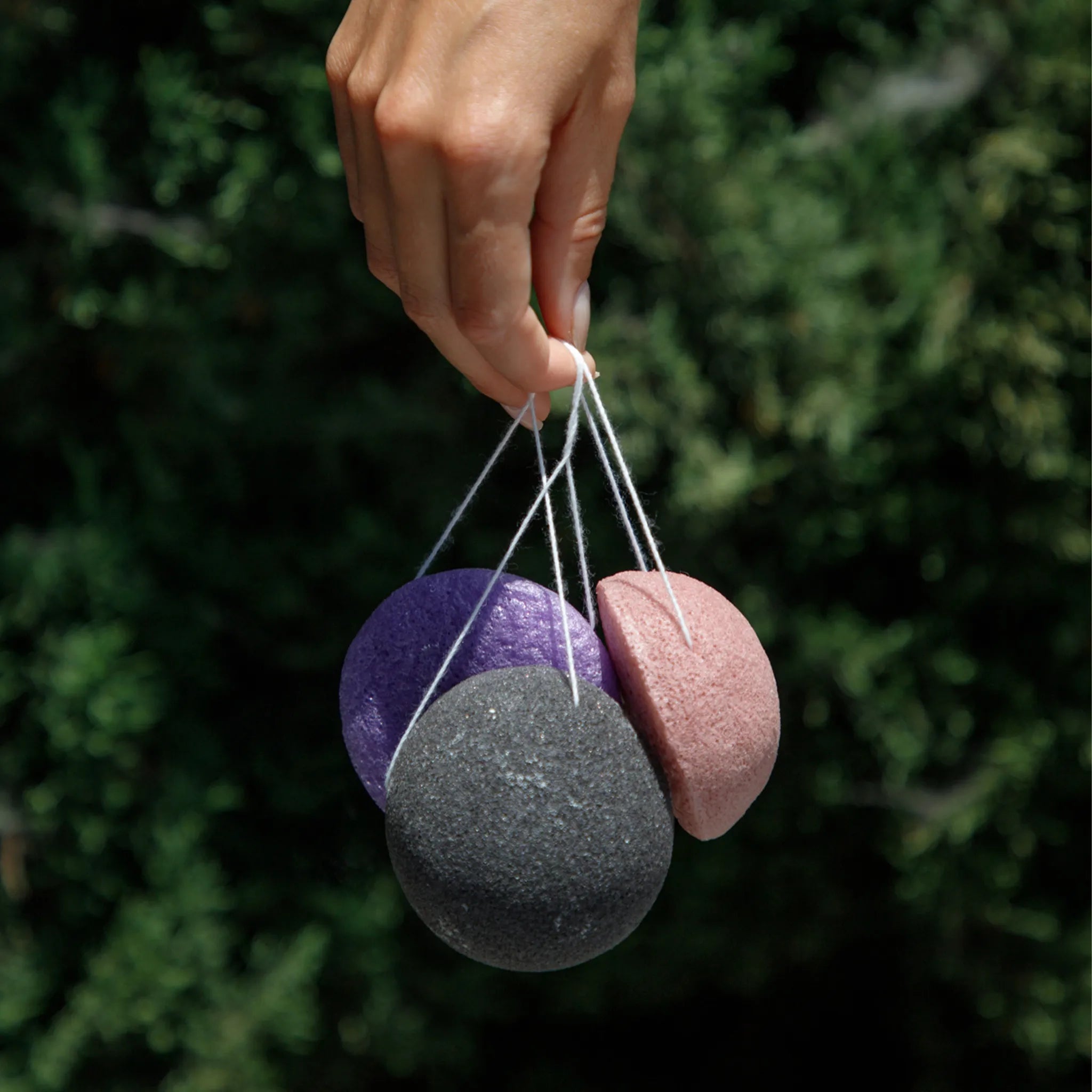 Natural Konjac Sponges Hanging