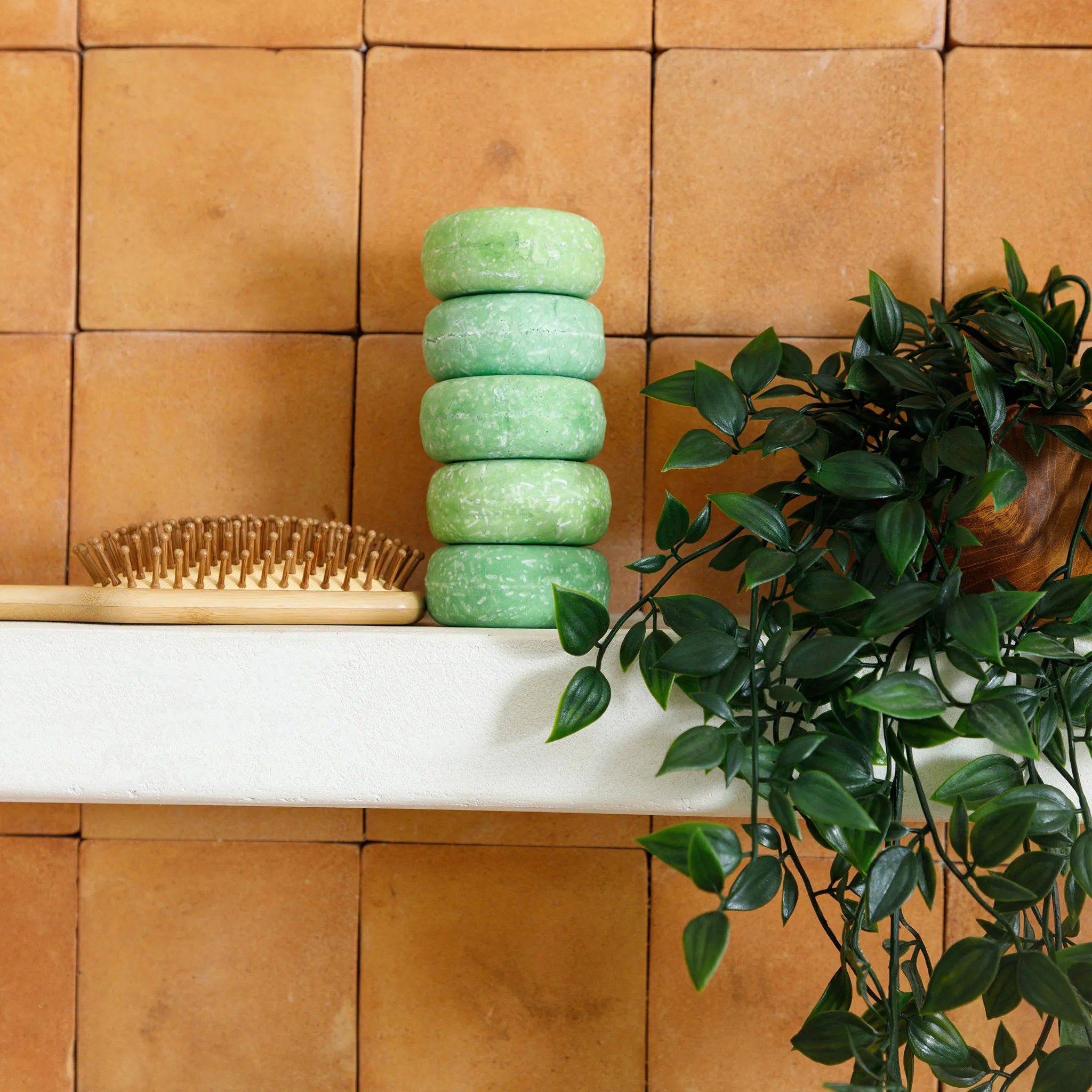 Olive Oil Shampoo Bar