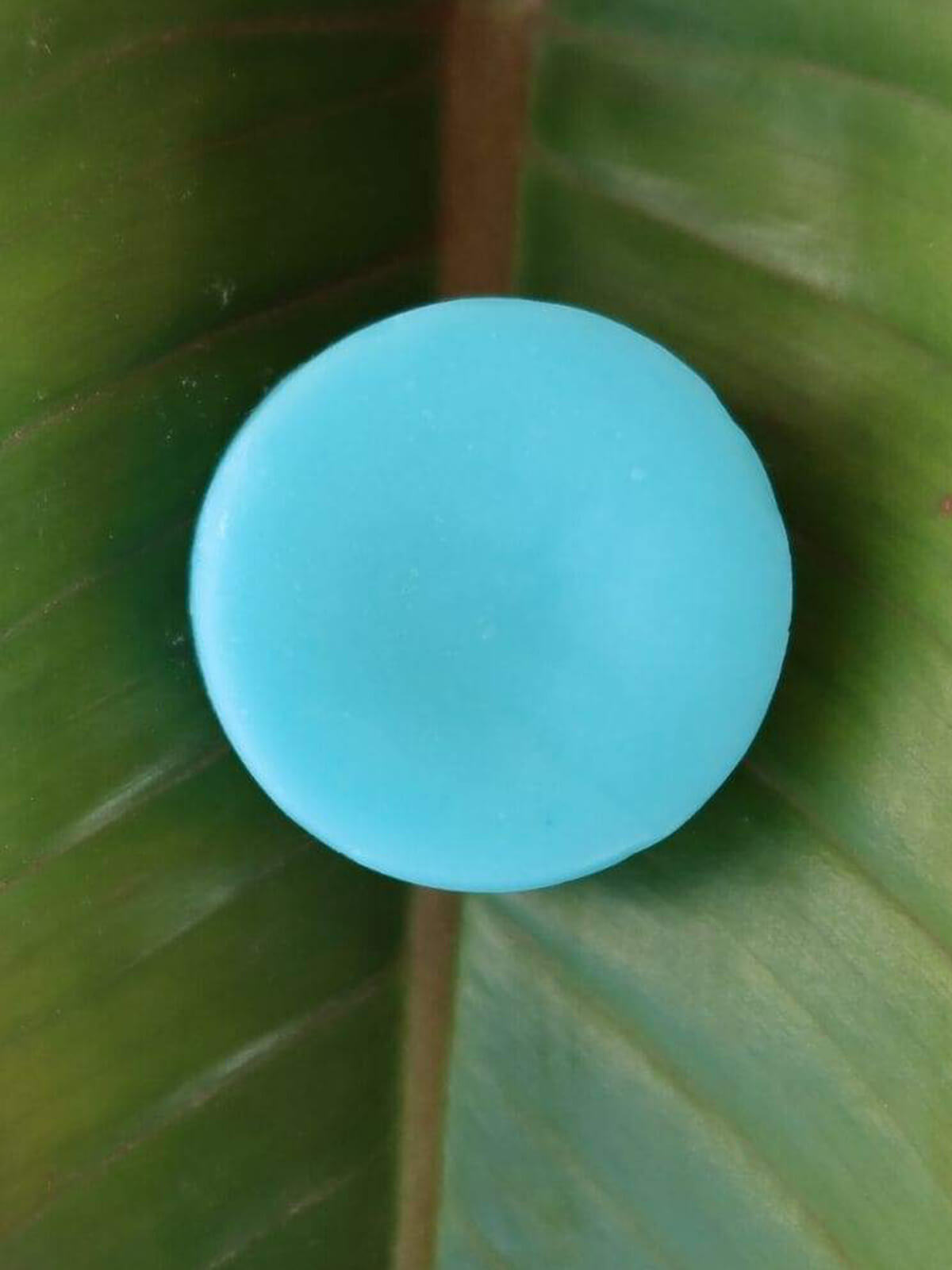 Natural Seaweed Conditioner Bars
