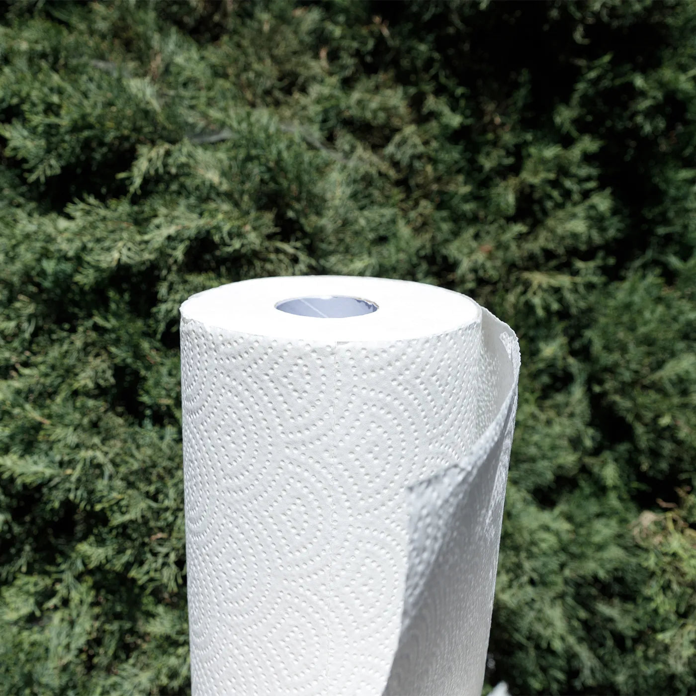 Non Toxic Bamboo Paper Towels