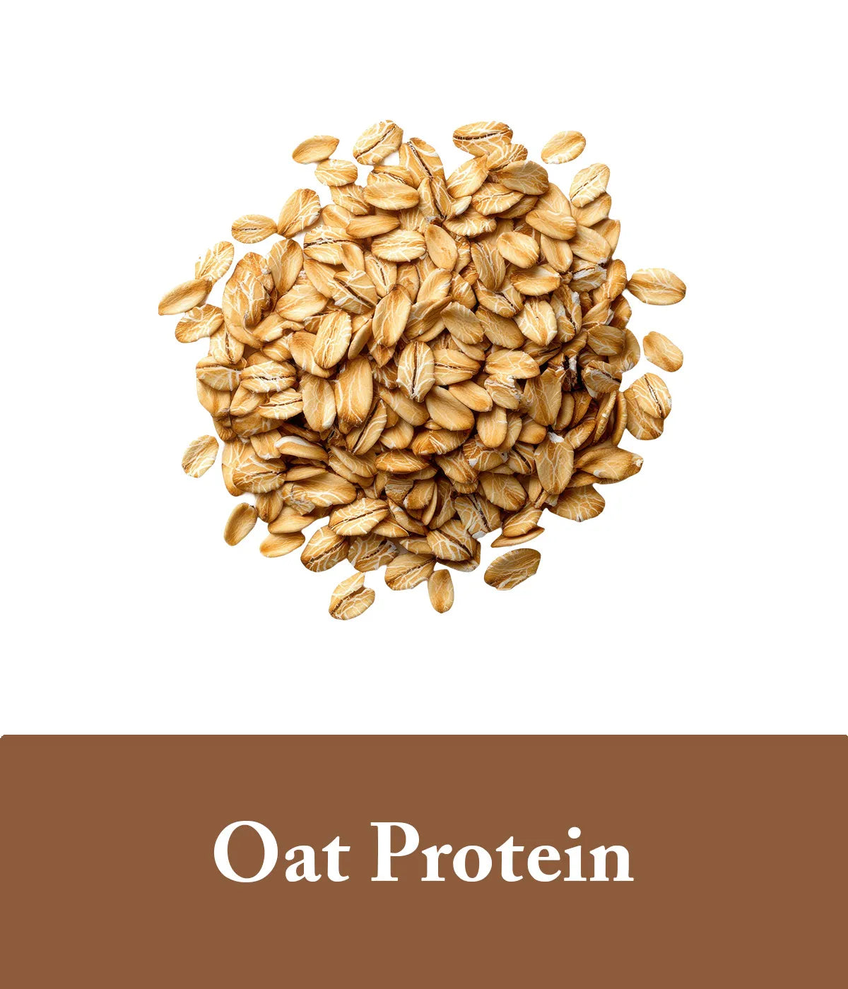 Oat Protein Ingredient Argan Oil