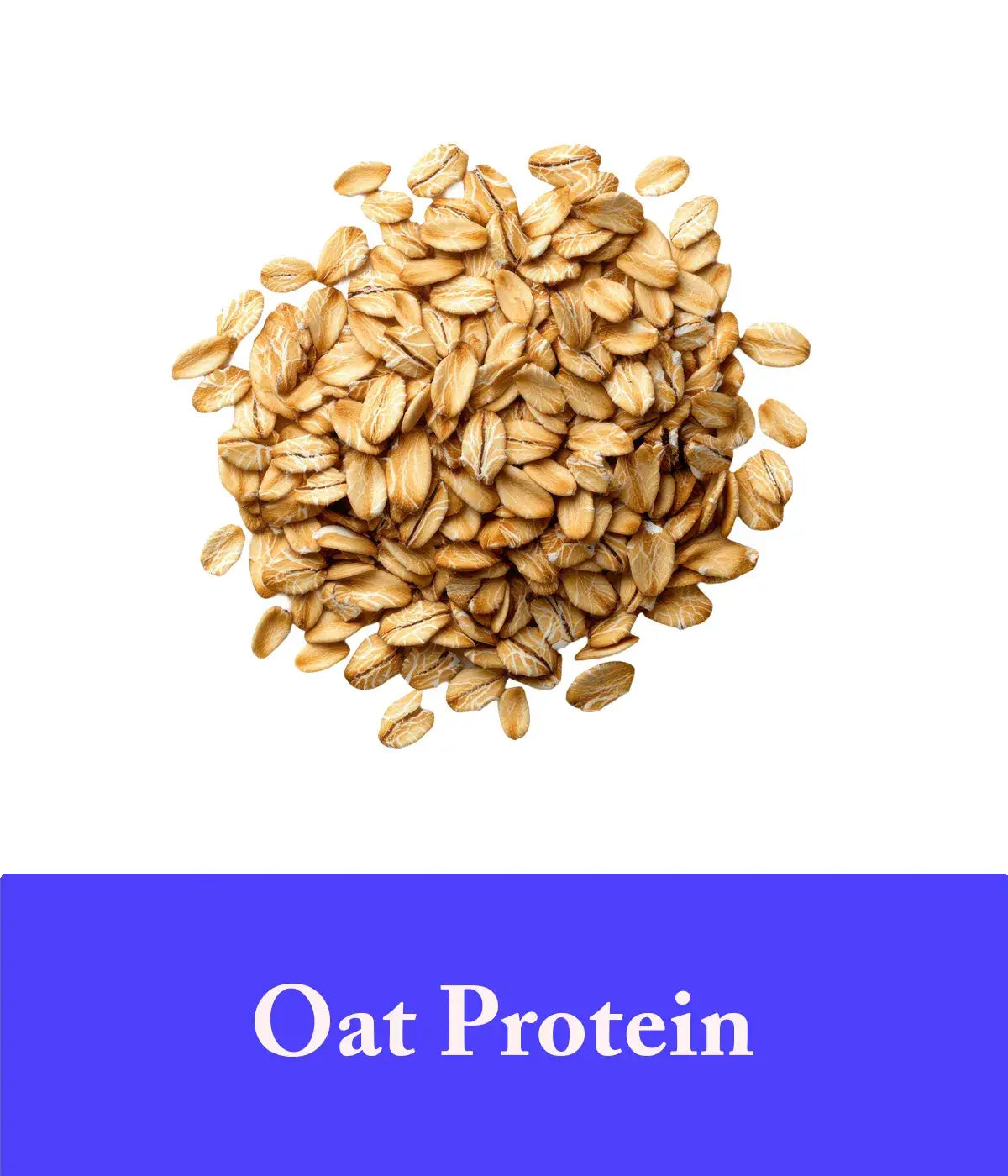 Oat Protein Lavender Shampoo Ingredient