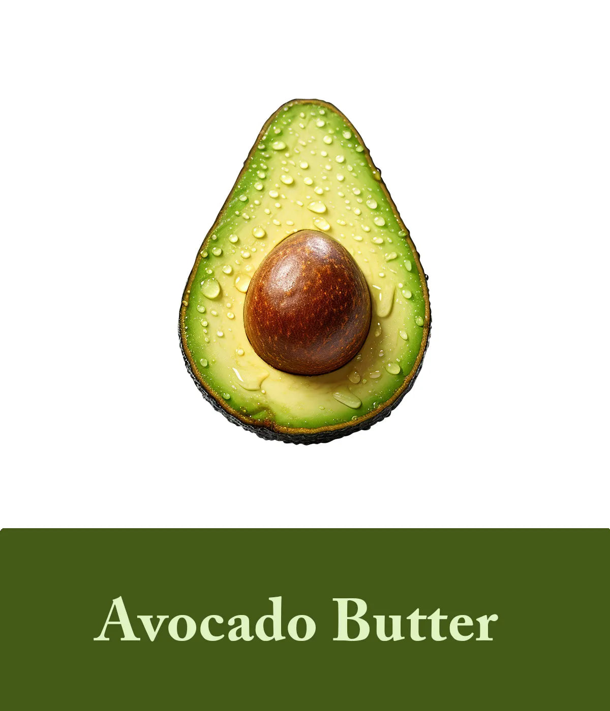 avocado butter depicted as an ingredient in olive oil shampoo