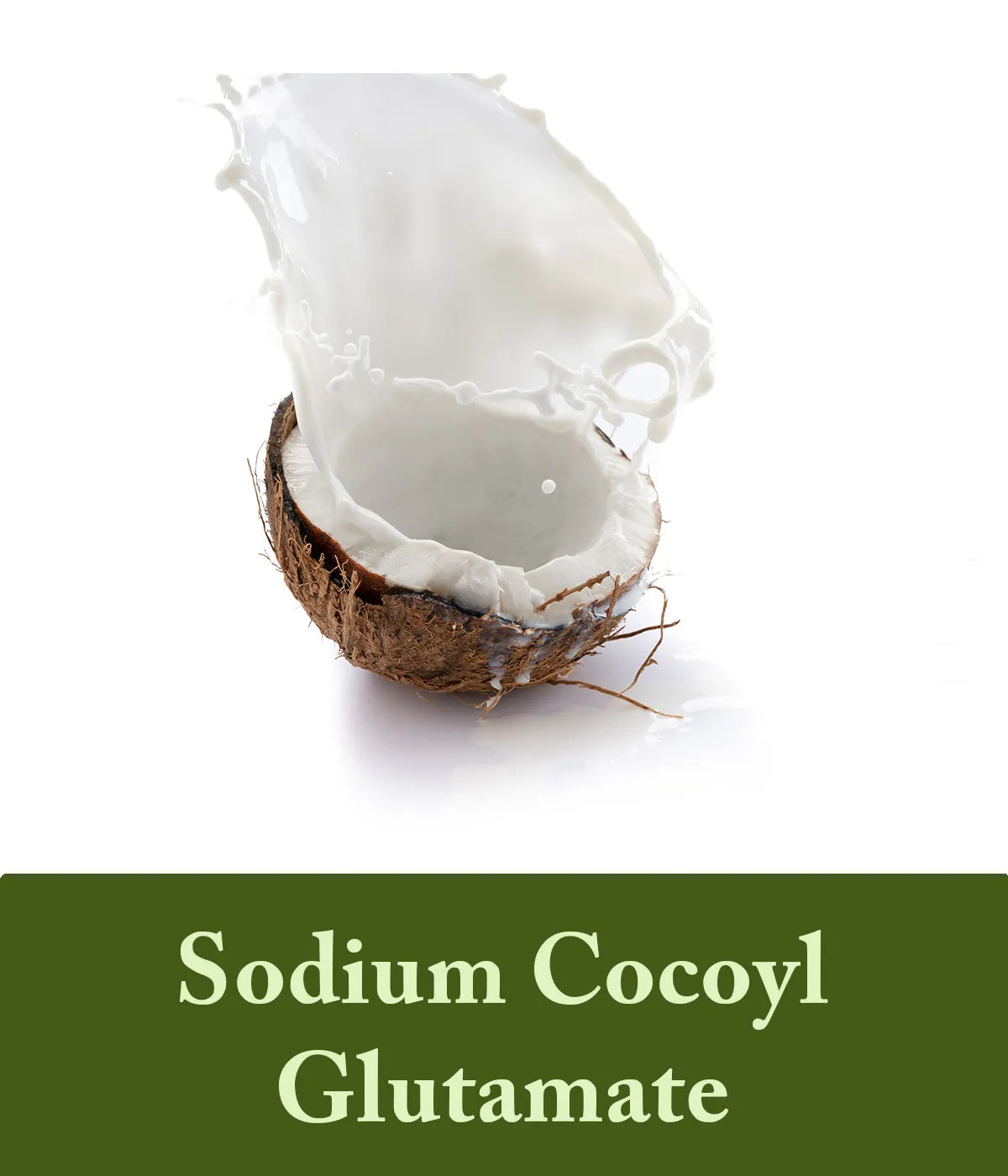 Sodium Cocoyl Glutamate depicted as an ingredient in olive oil shampoo