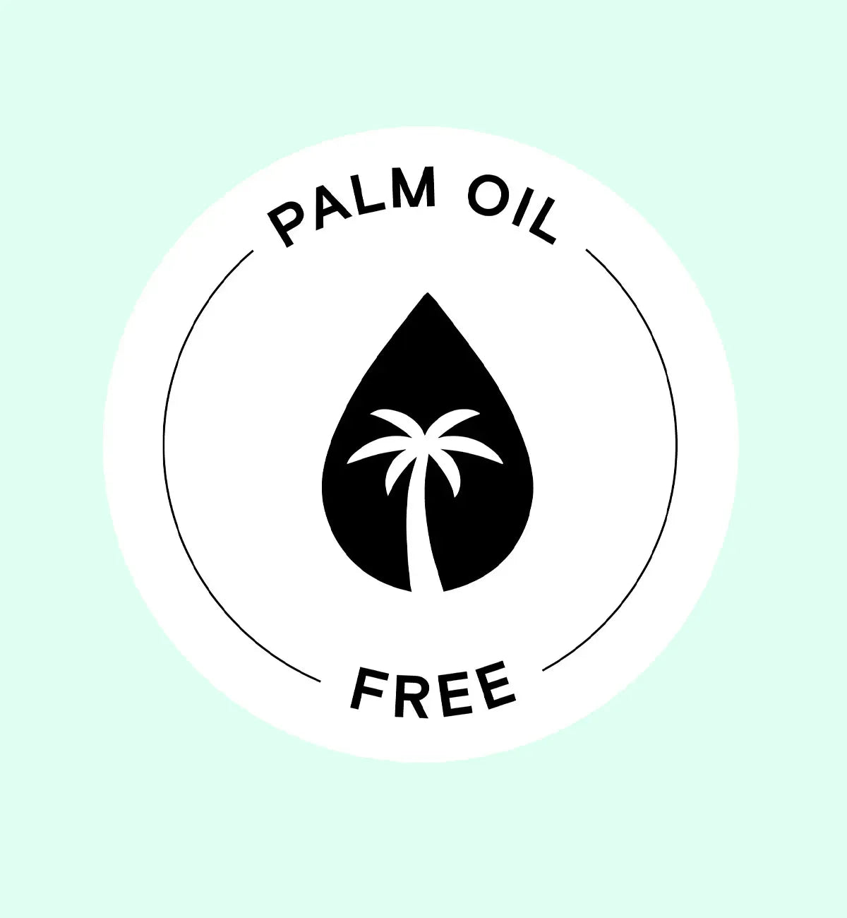 Palm Oil Free Mint Shampoo