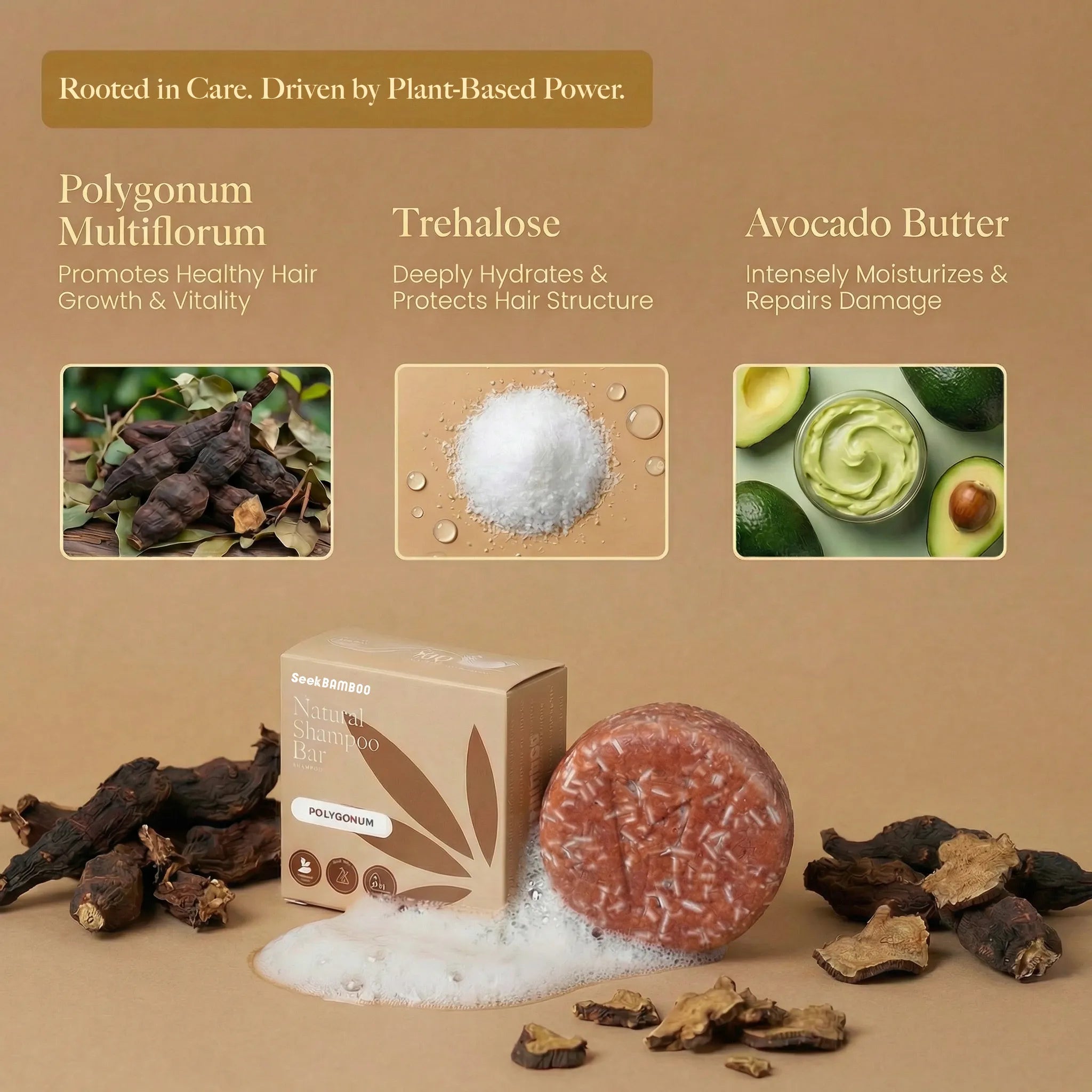 Polygonum-Shampoo Ingredients