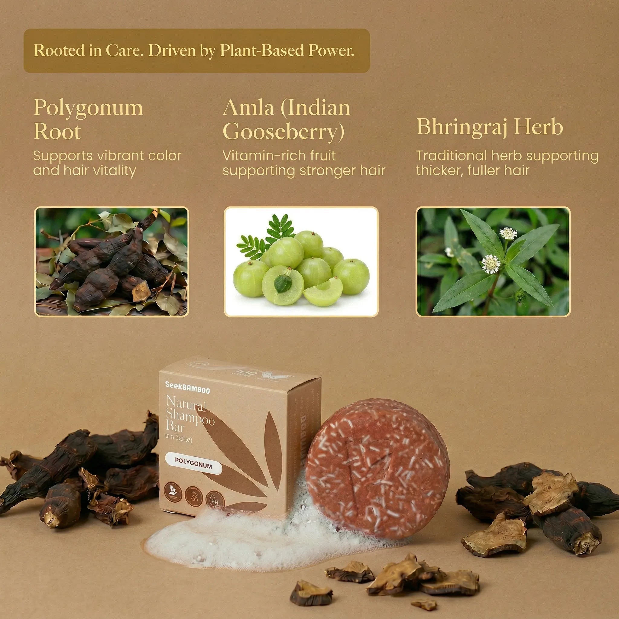 Polygonum-Shampoo-Graphic