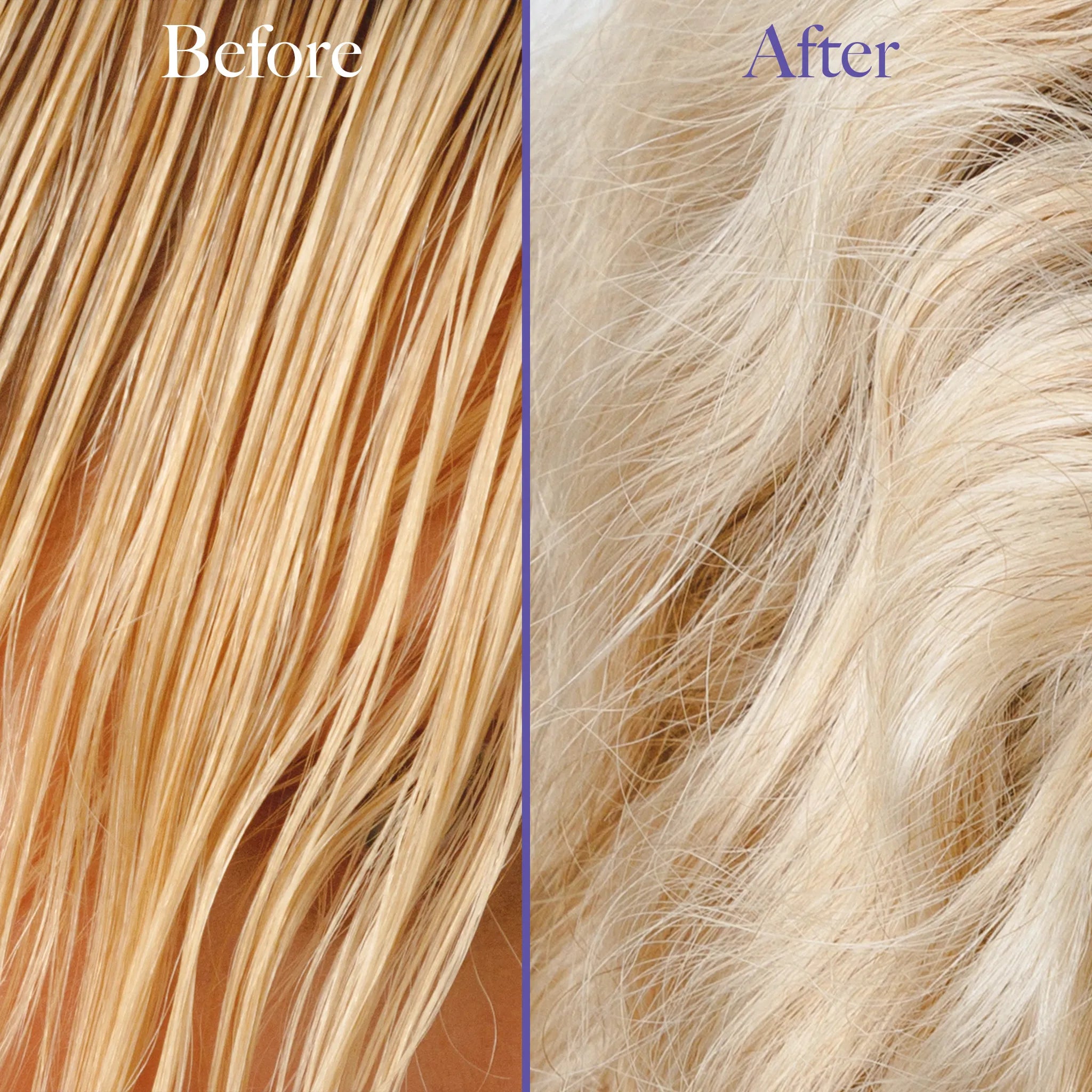 Purple Shampoo Before and After