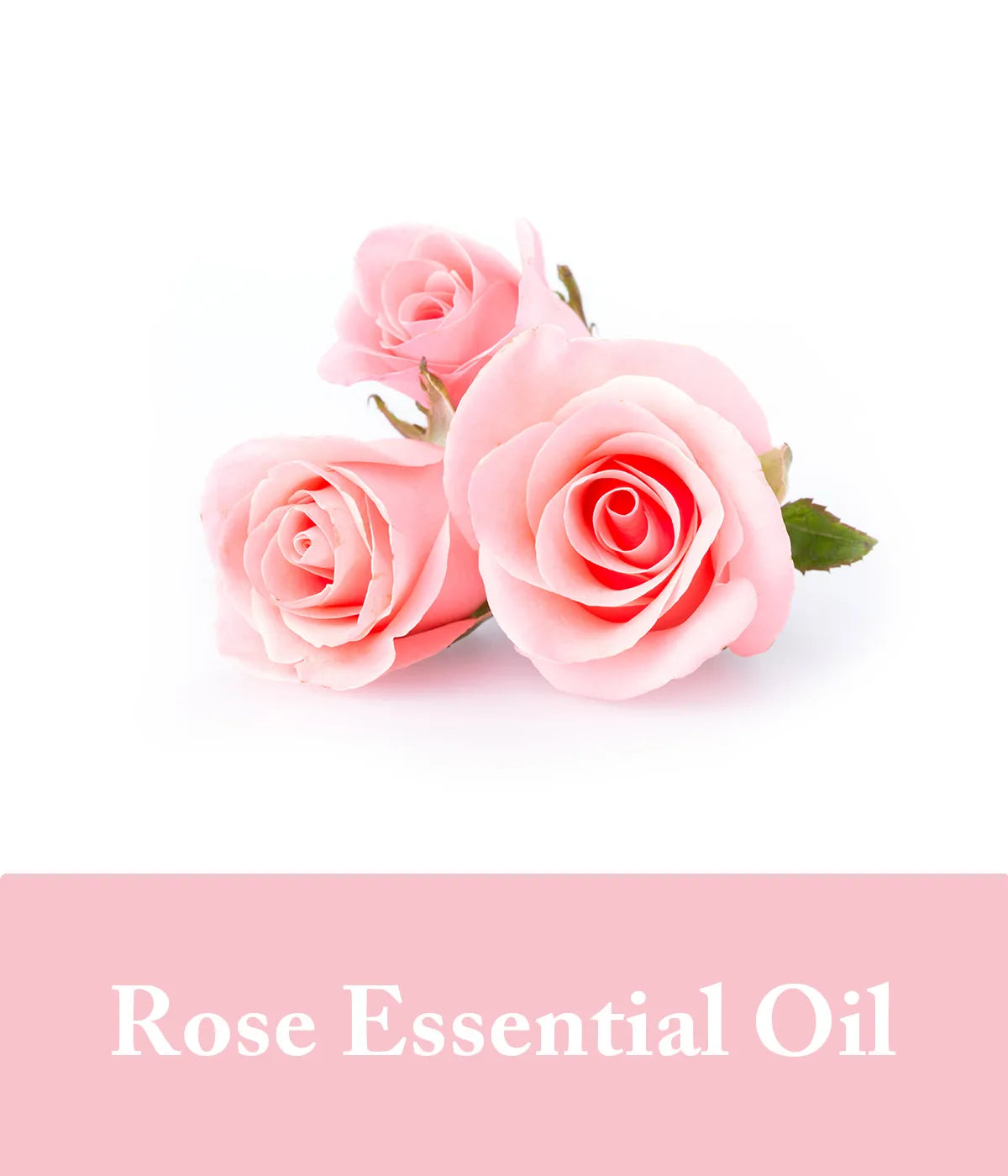essential oil rose in rose shampoo bar