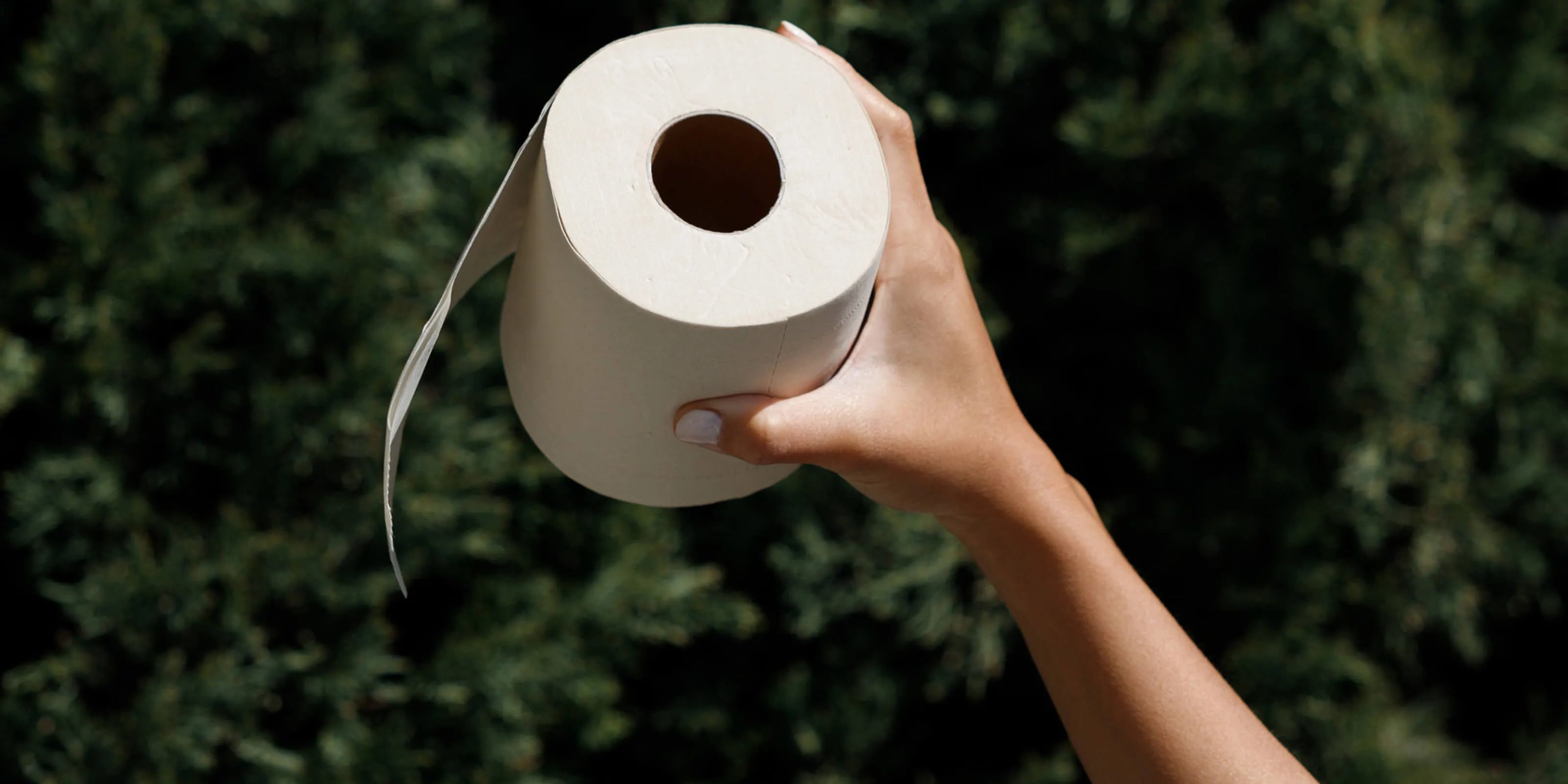 pros and cons of using toilet paper made from bamboo