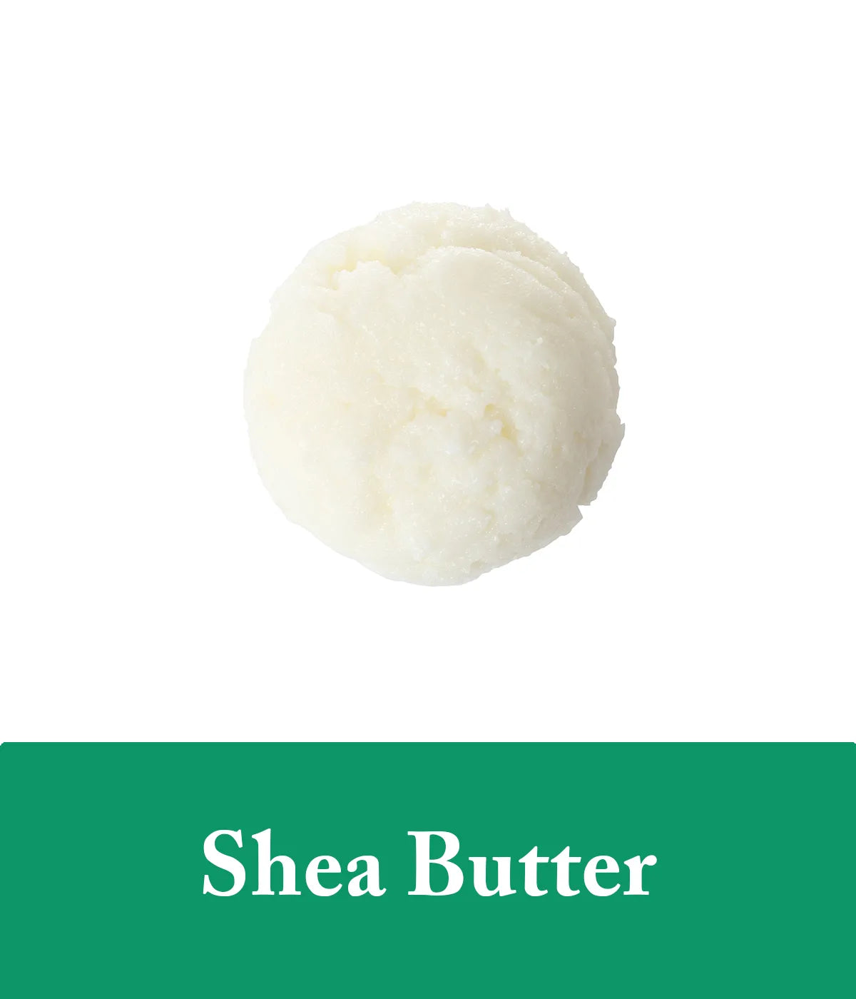 Shea Butter Ingredient Tea Tree Shampoo