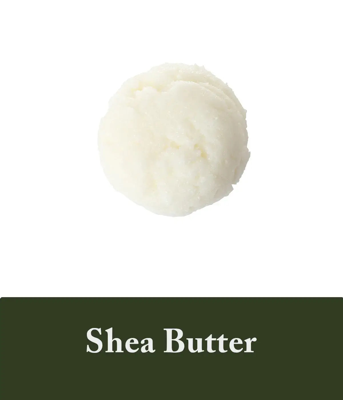 polygonum and shea butter shampoo