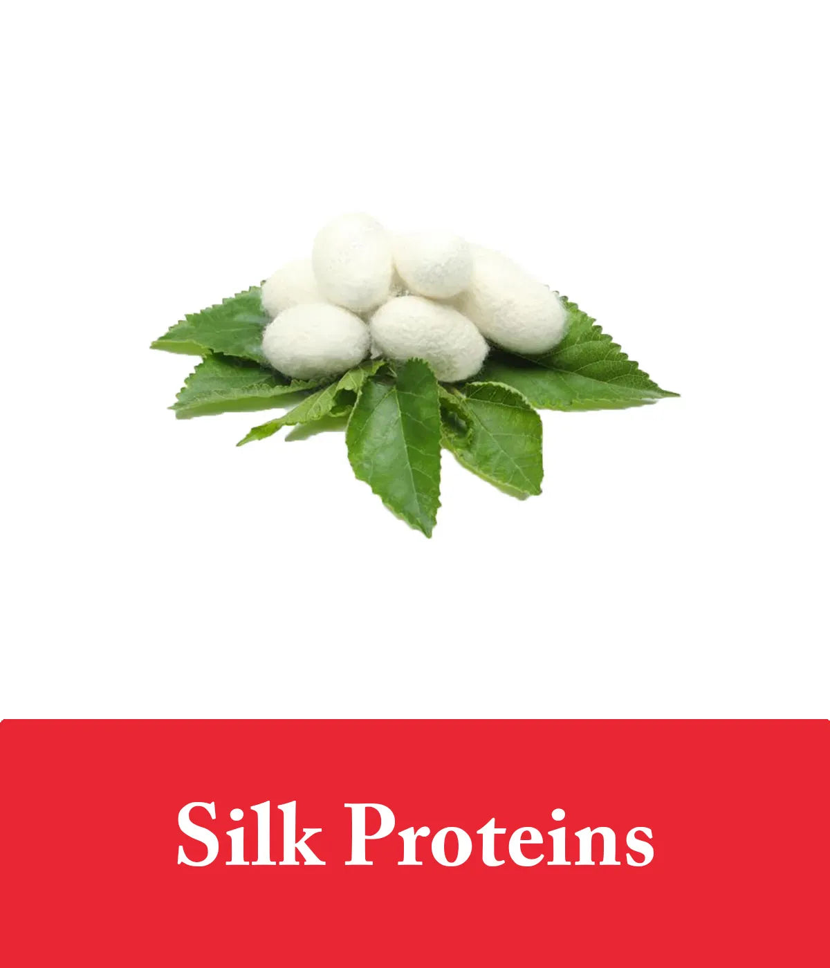 strawberry conditioner bar with silk protein