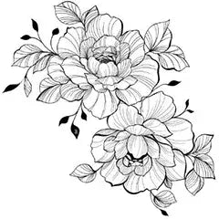 argan oil and tsubaki conditioner