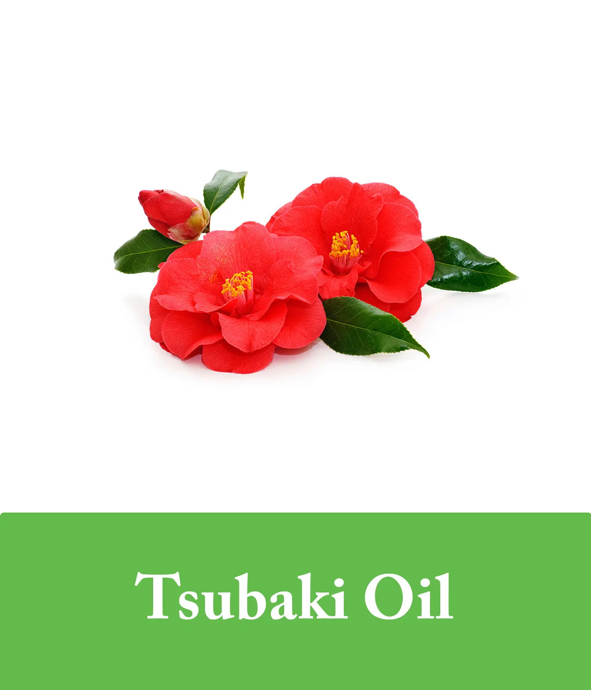 tsubaki oil green tea conditioner