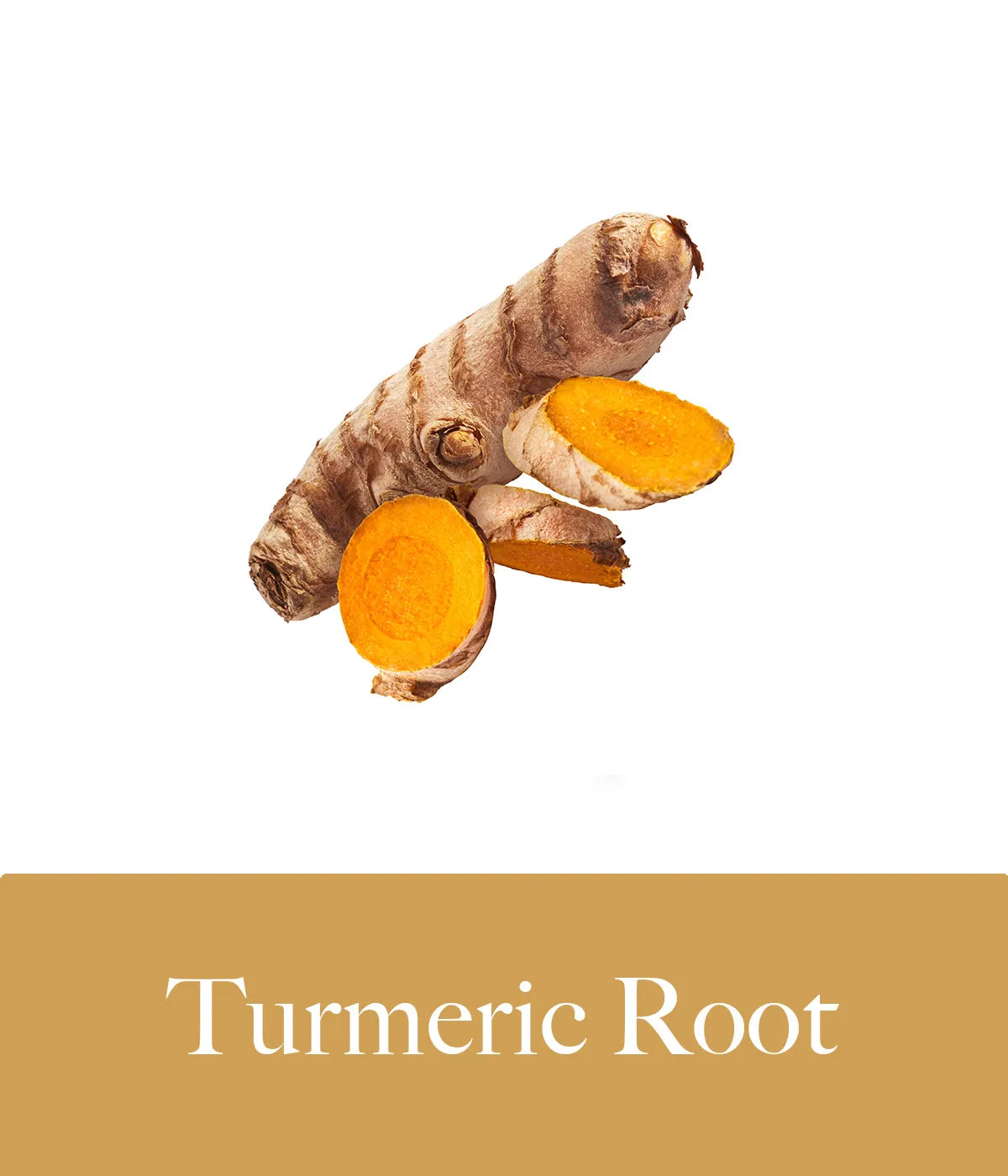 Turmeric Root Konjac Sponge