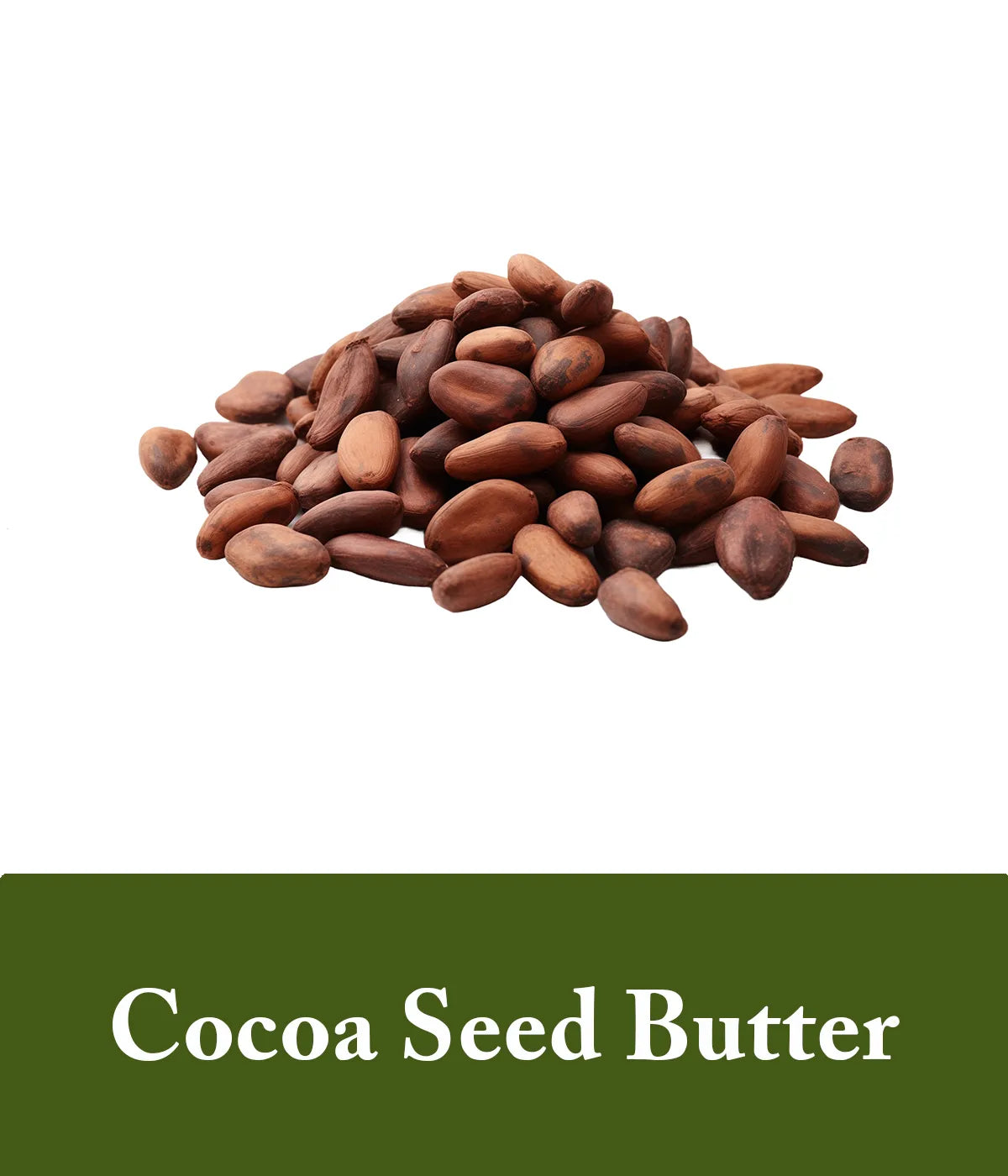 cocoa seed butter in unscented shampoo